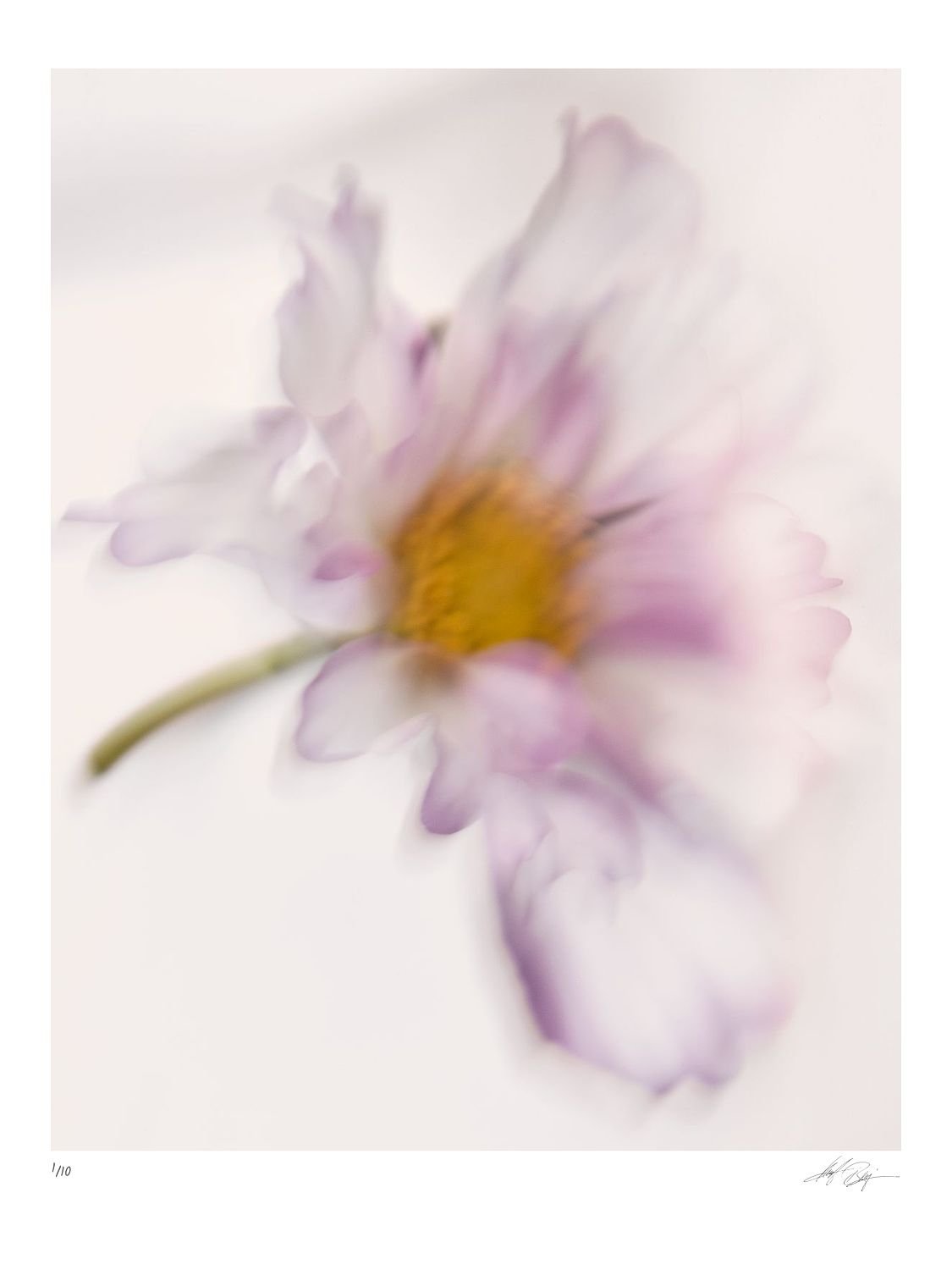preview_70a82054.jpg