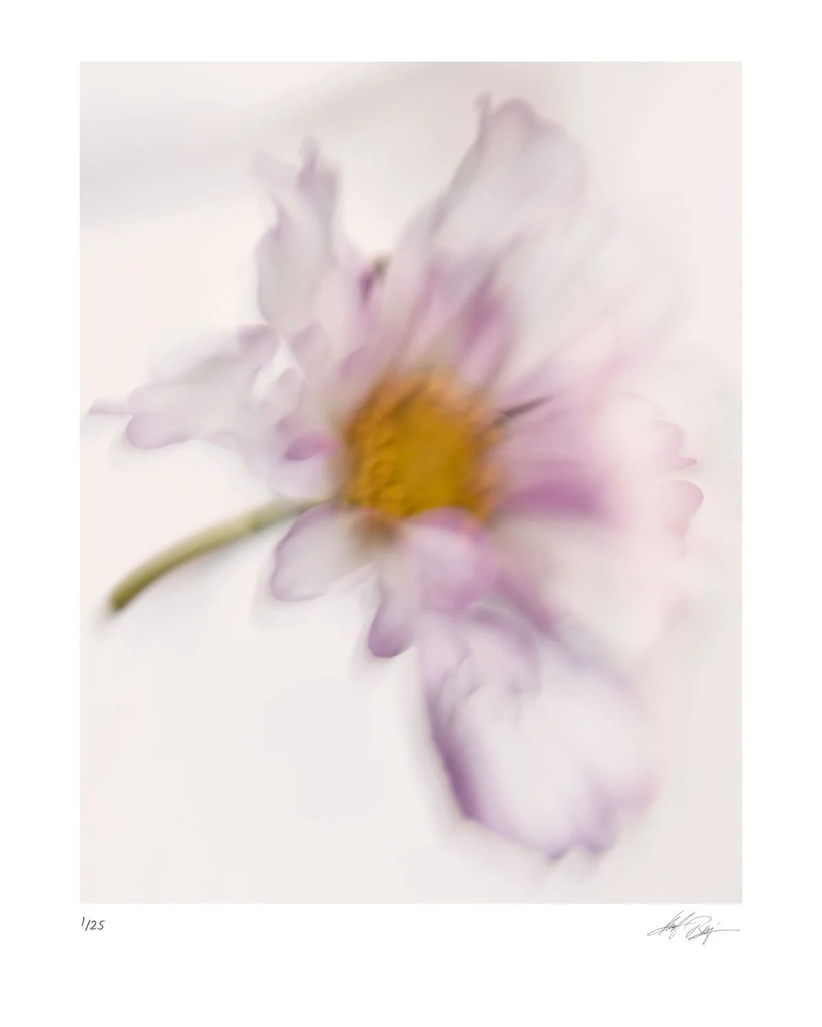 preview_4beafda6_8ccb9d9d.jpg