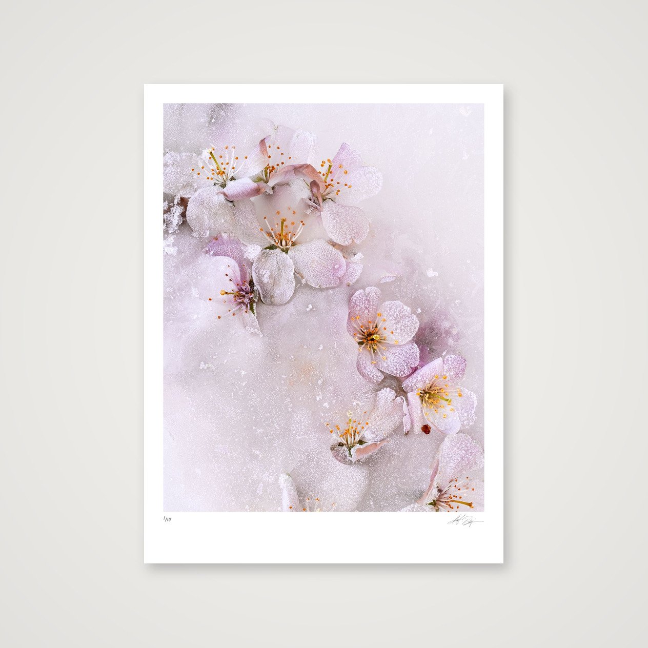 shot_table_98136f19_23fd09cc.jpg