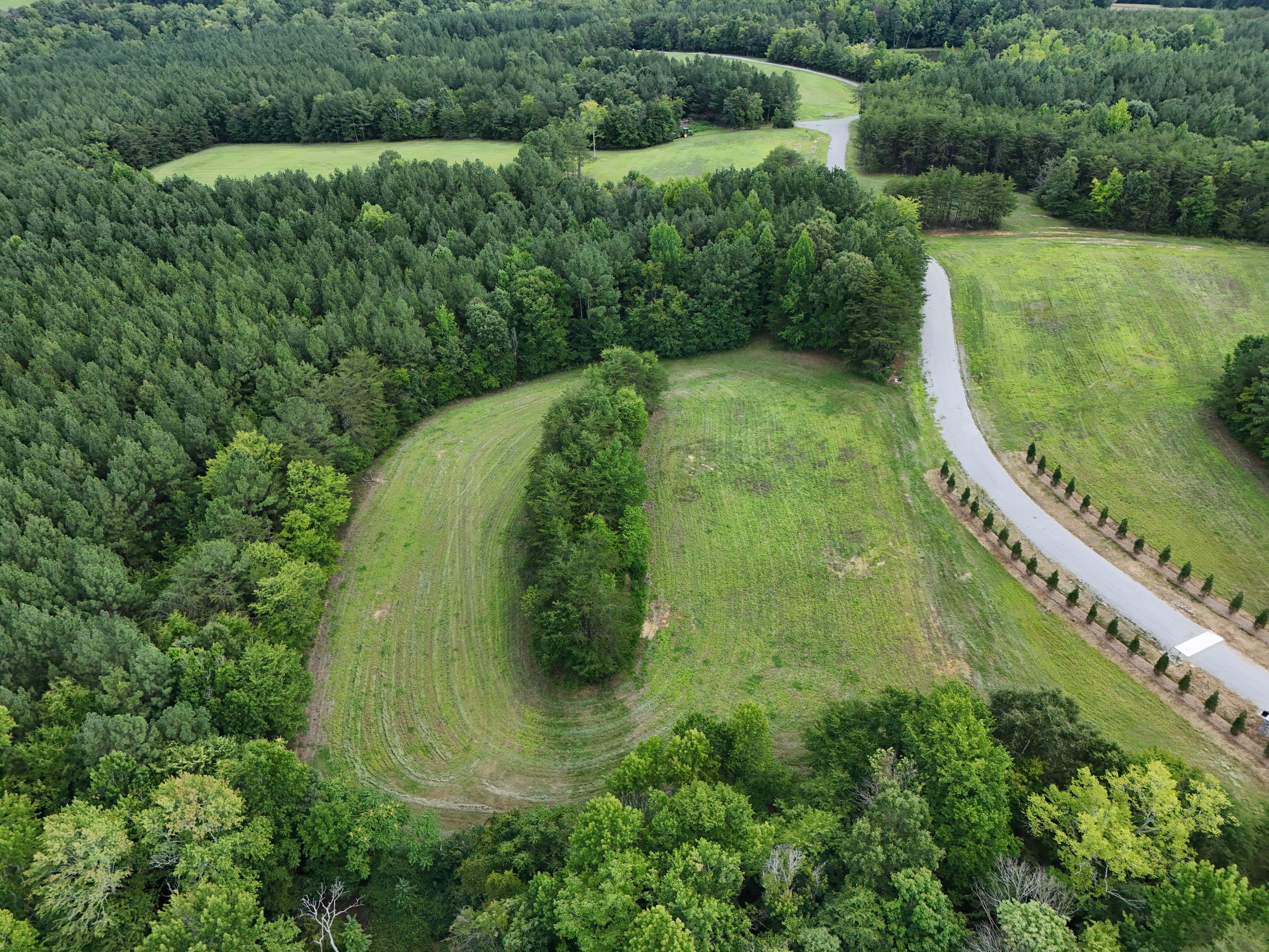 DJI_20260810031536_0452_D.jpg