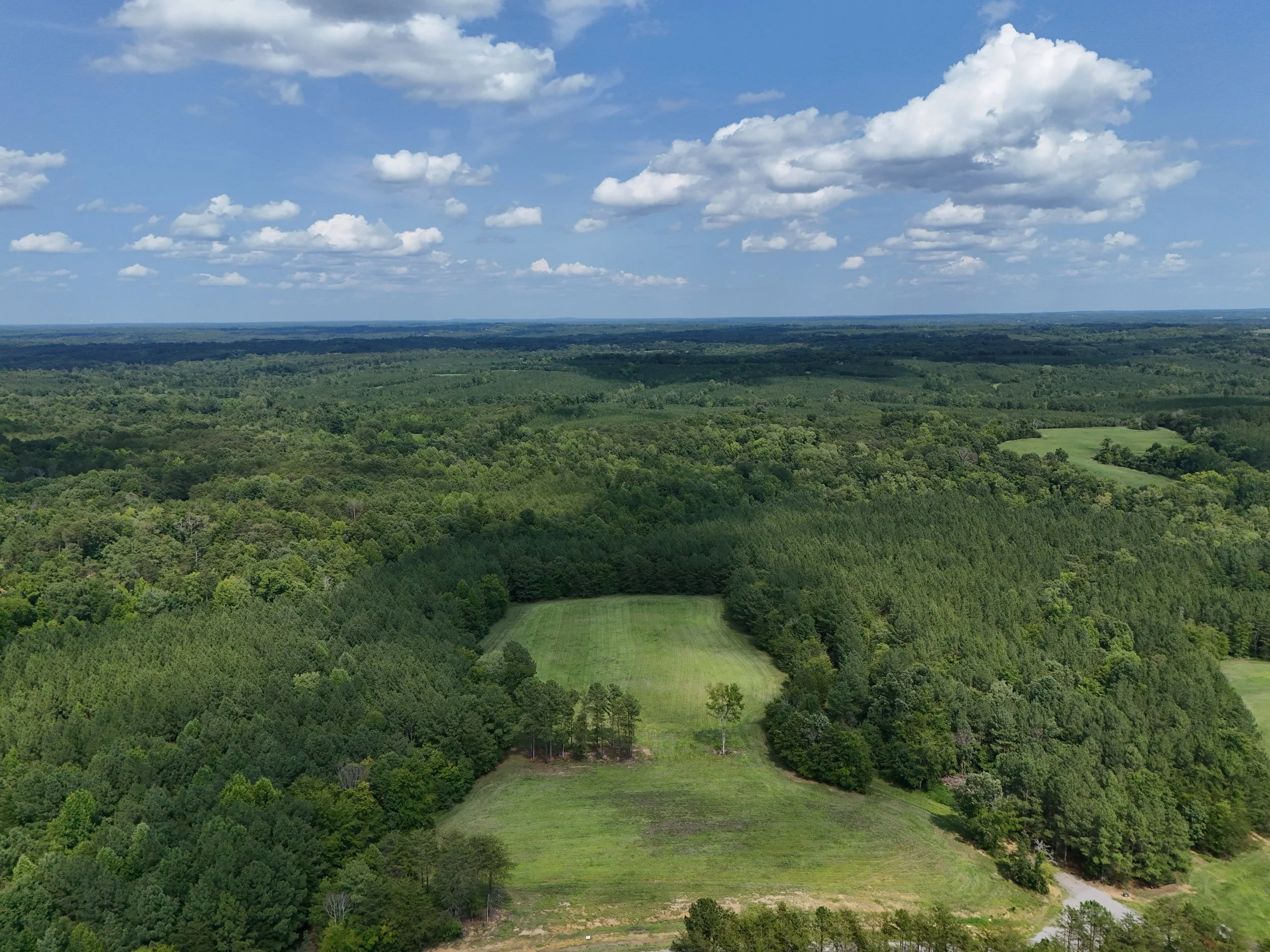DJI_20260810034236_0463_D.jpg
