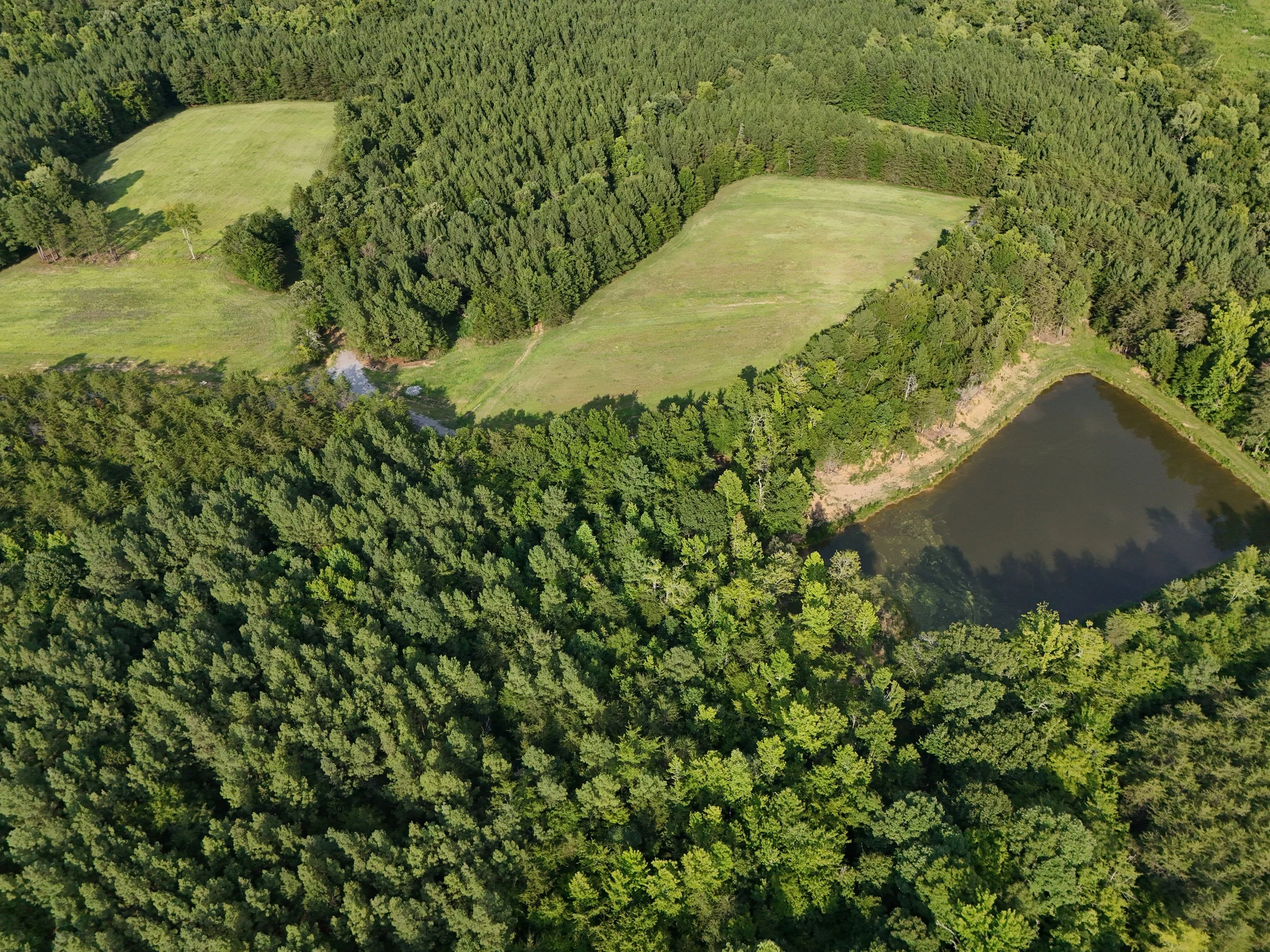 DJI_20260810060140_0497_D.jpg