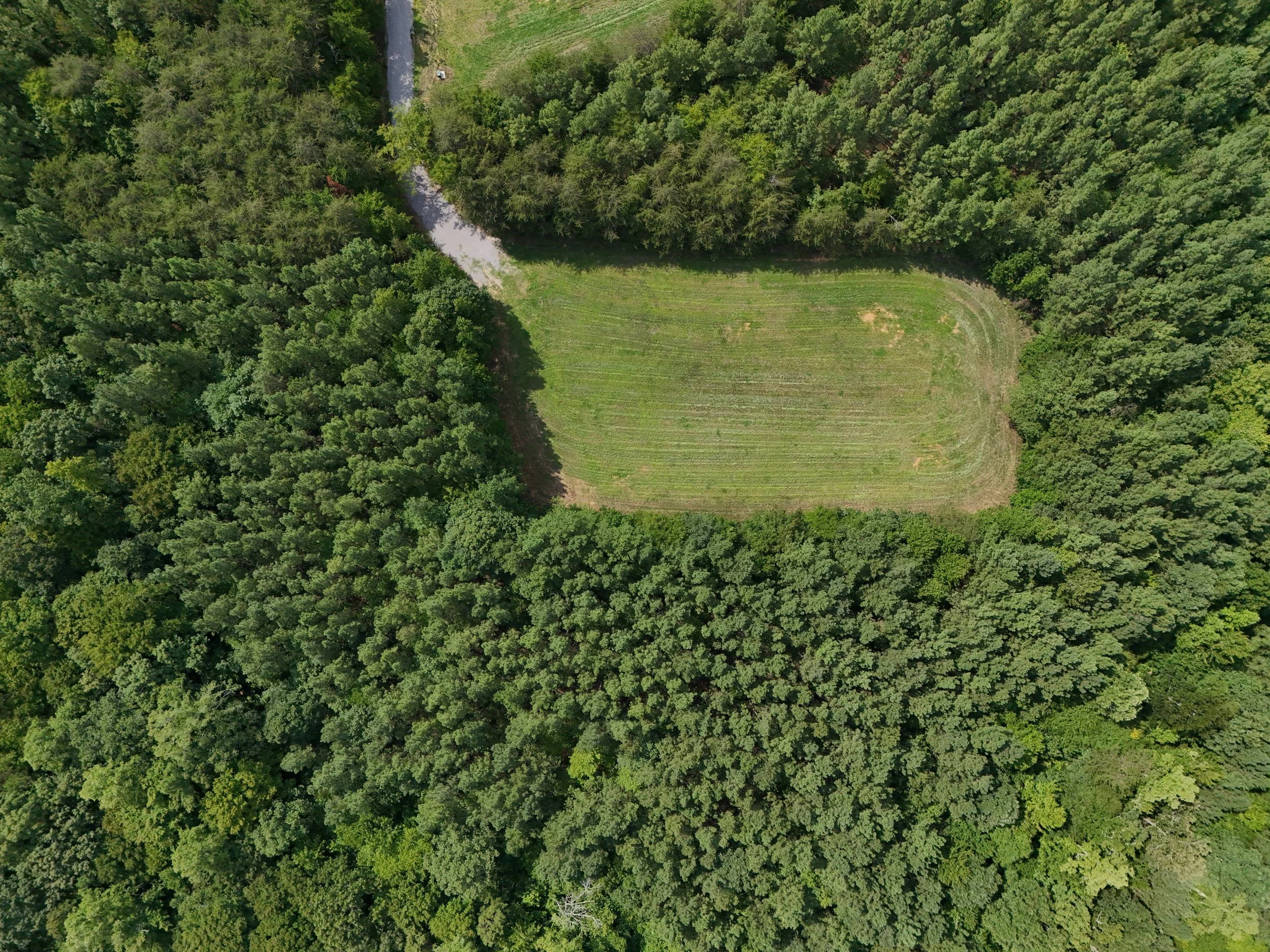 DJI_20260810034529_0471_D.jpg