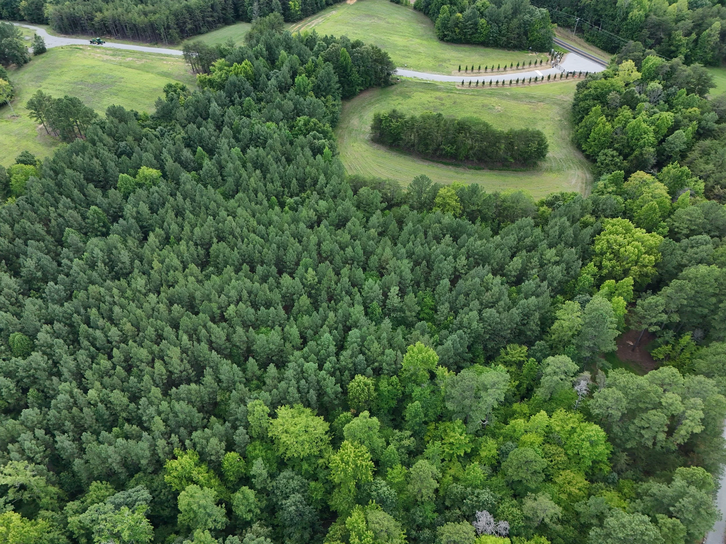 DJI_20260810031616_0453_D.jpg