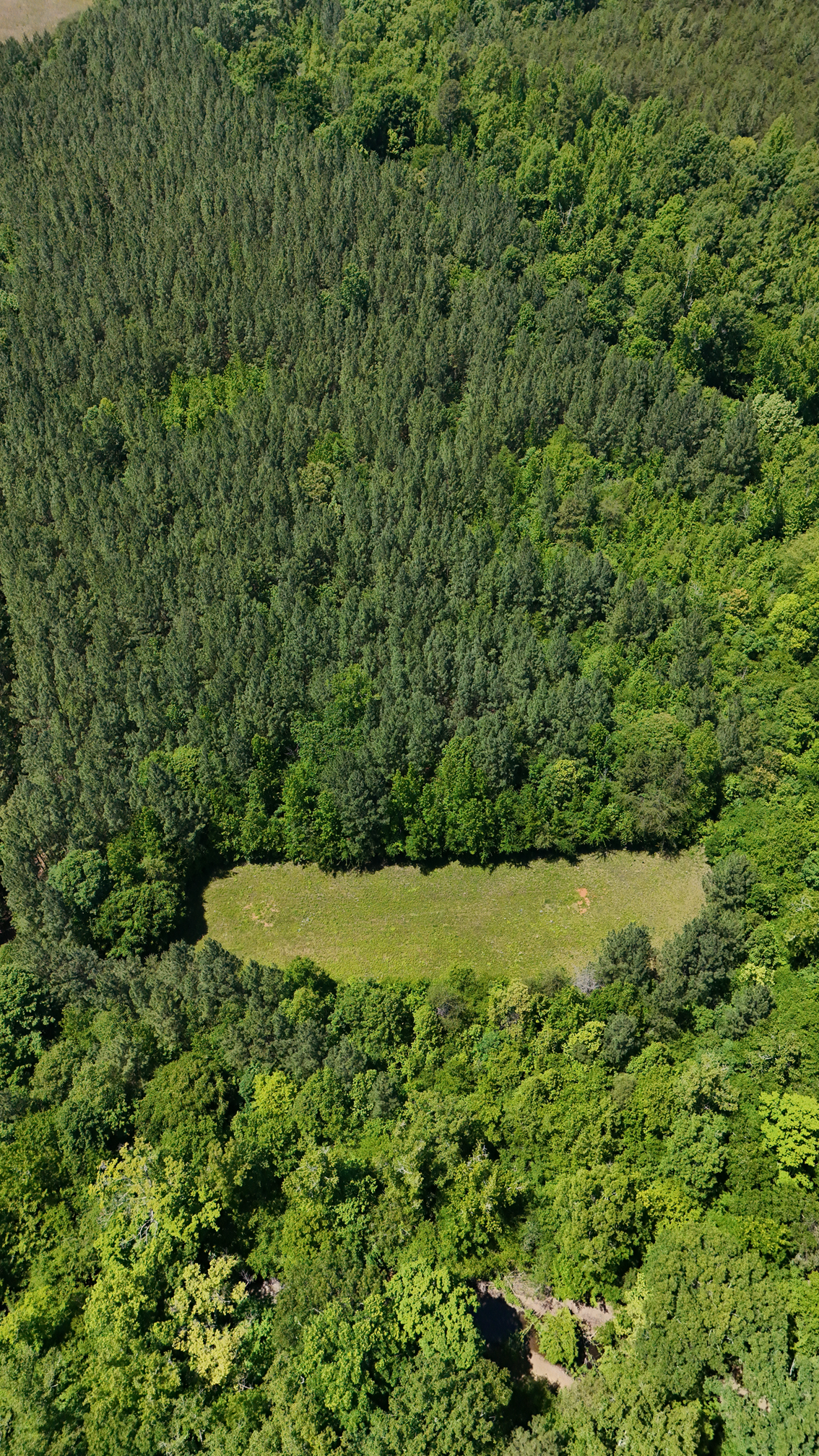 DJI_20260604022122_0249_D.png