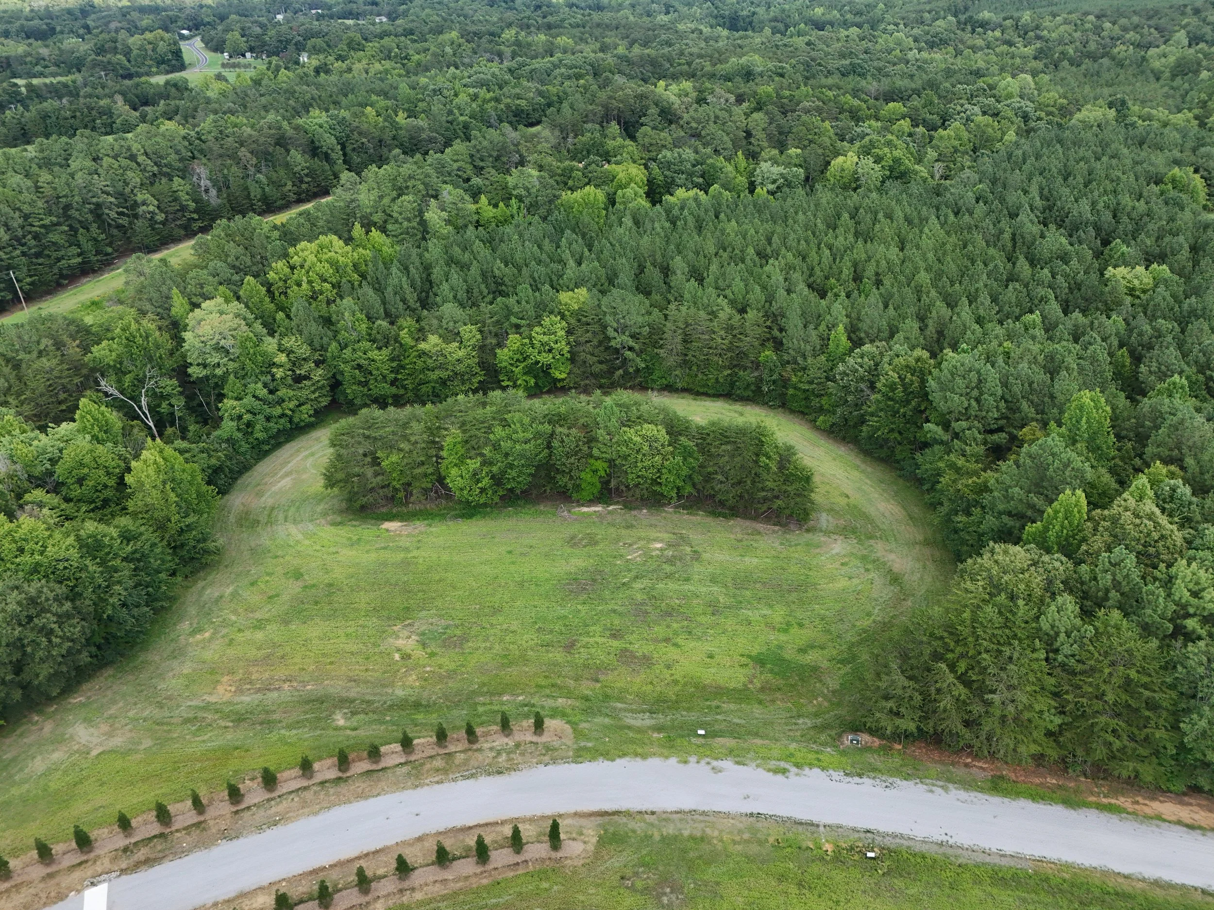 DJI_20260810031514_0450_D.jpg