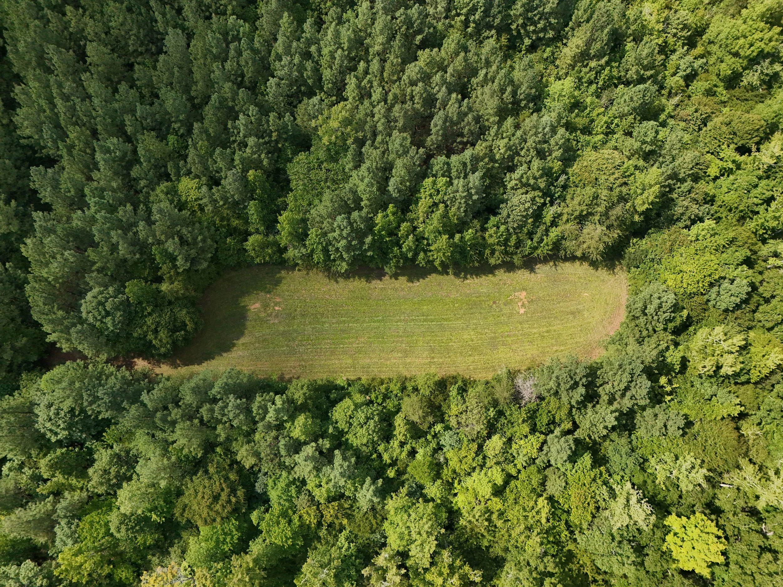 DJI_20260810034935_0485_D.jpg