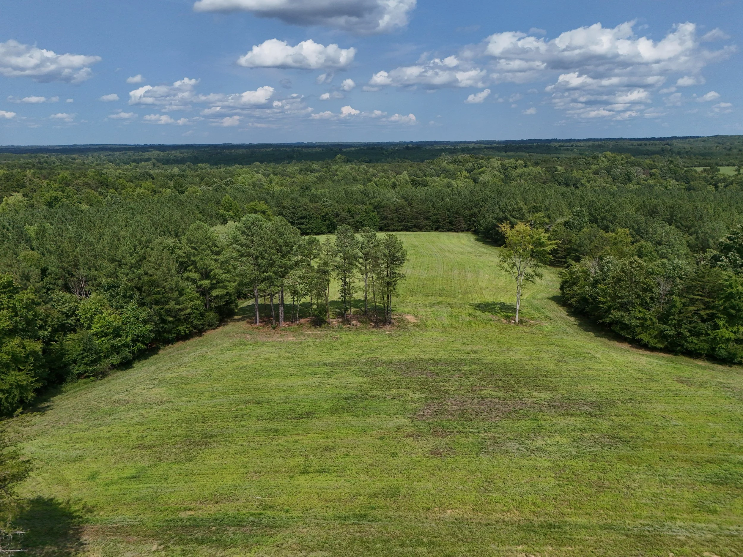 DJI_20260810034755_0478_D.jpg