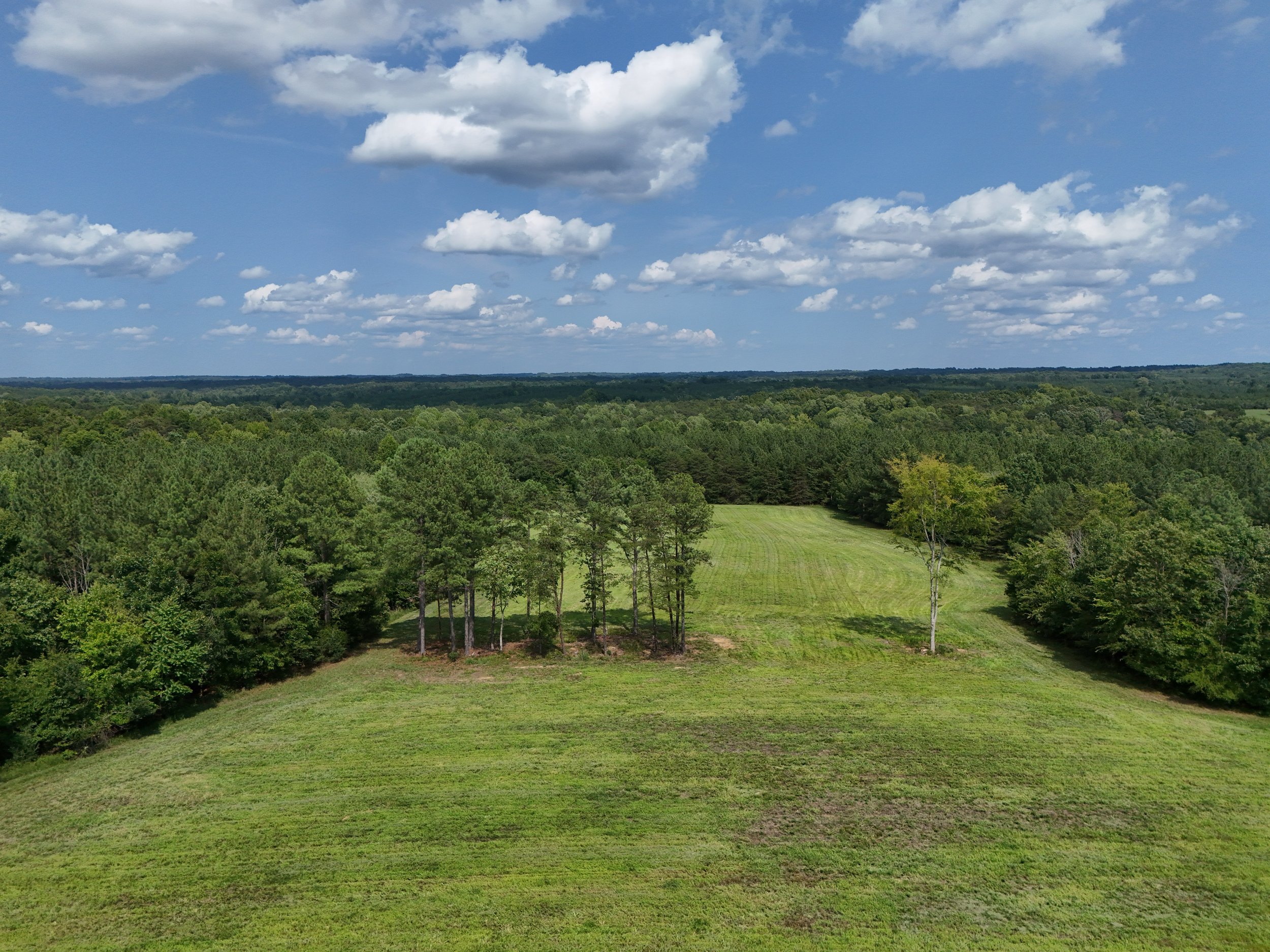 DJI_20260810034733_0476_D.jpg