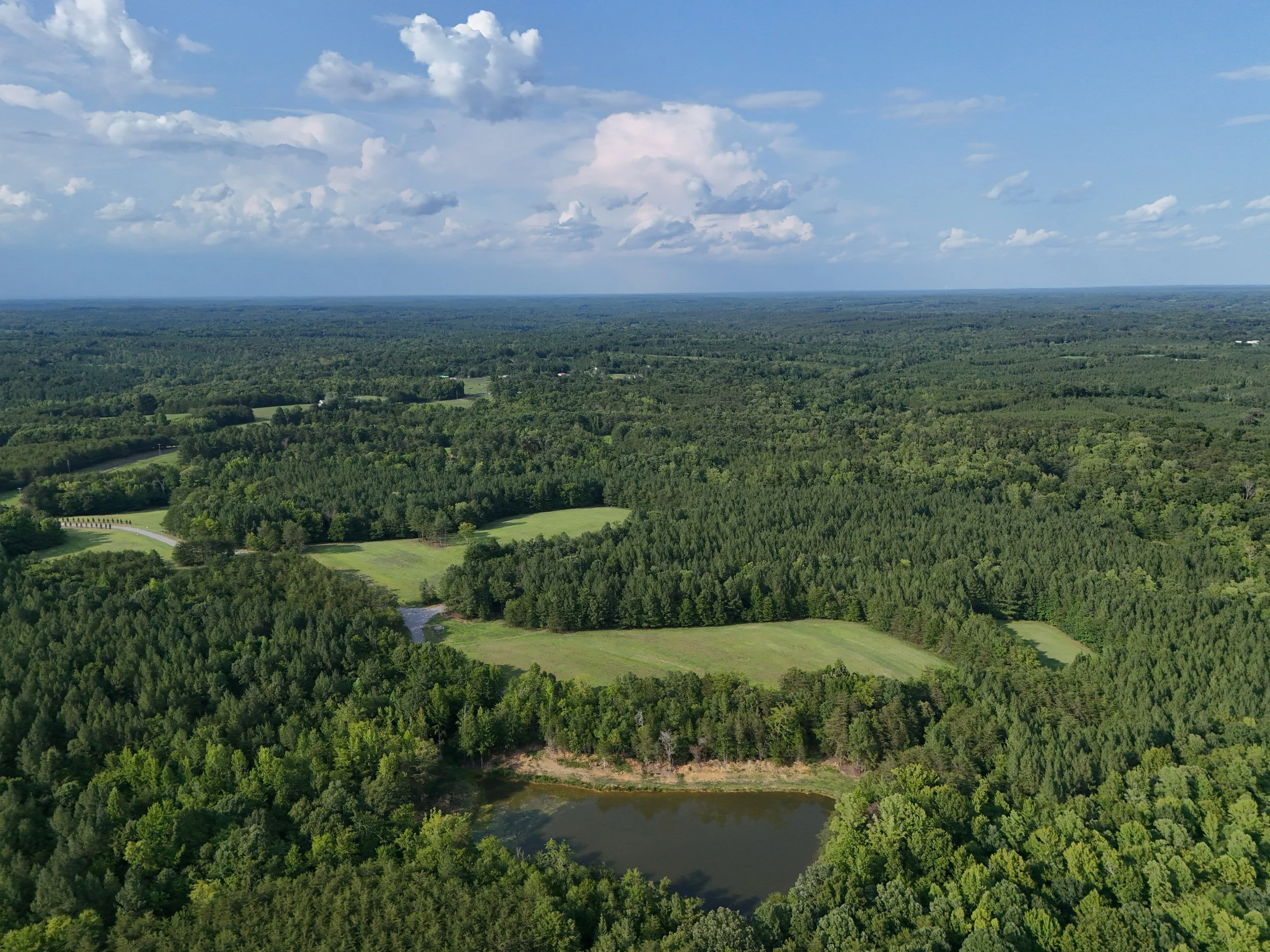 DJI_20260810060045_0496_D.jpg