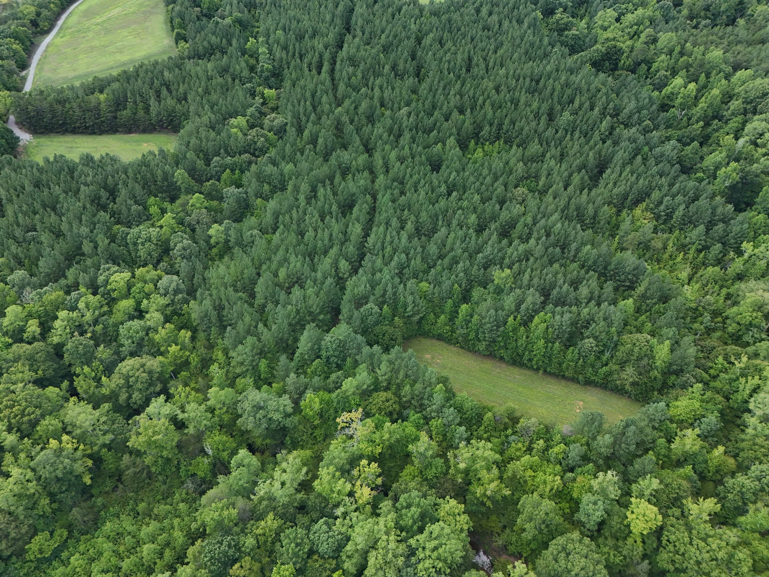 DJI_20260810031800_0458_D.jpg