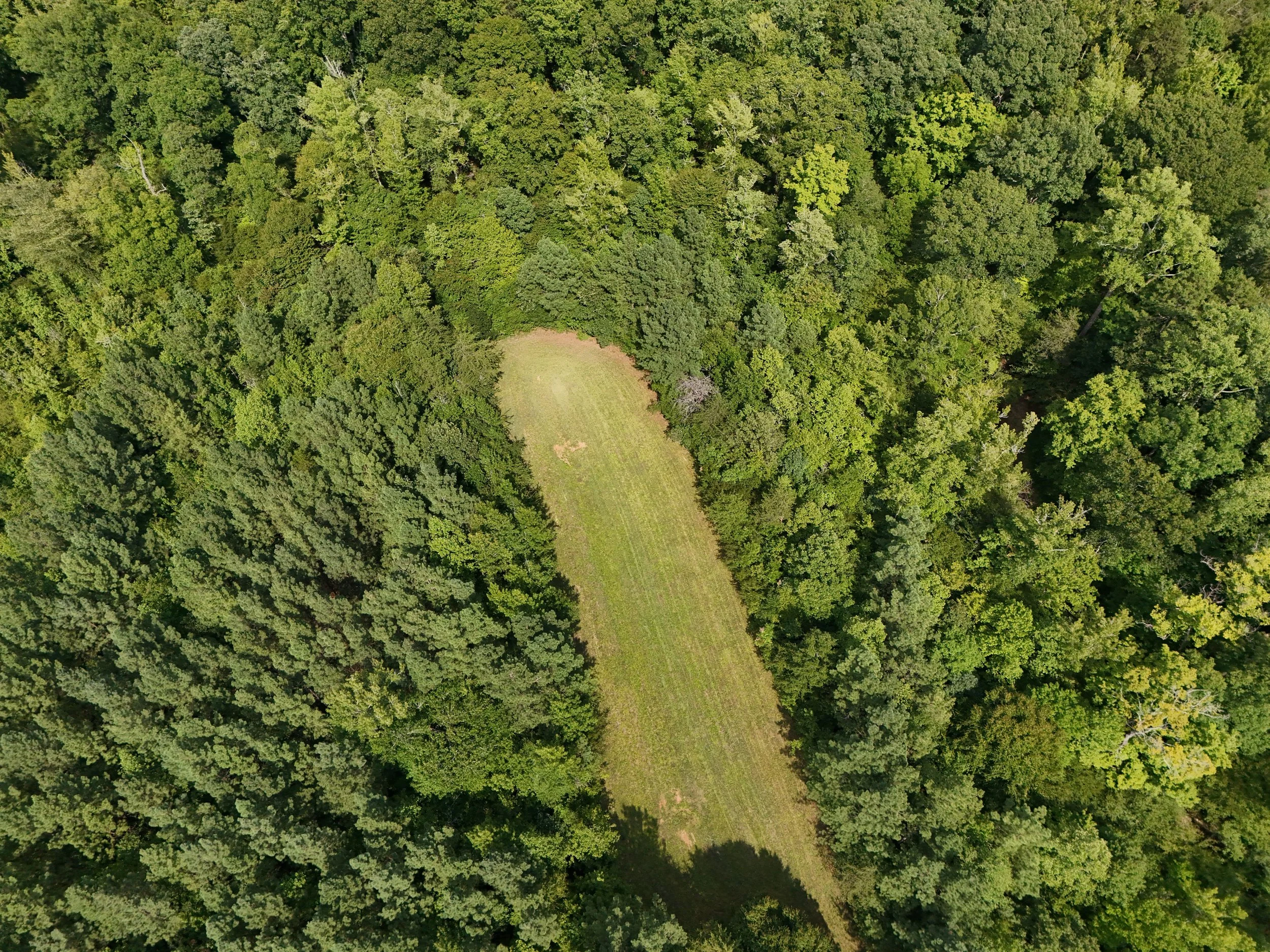 DJI_20260810034923_0484_D.jpg