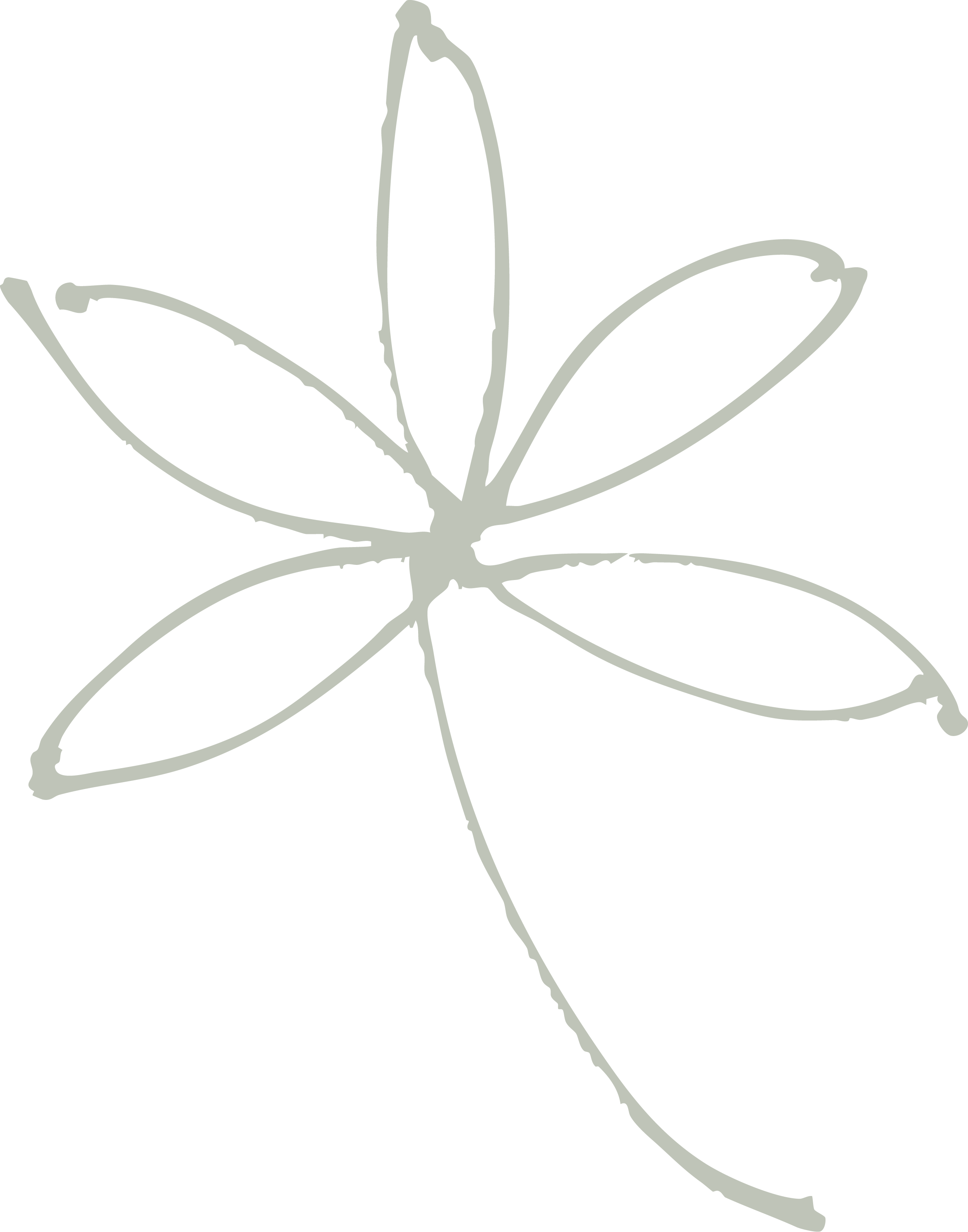 Line drawing of a flower with six elongated petals on a black background.