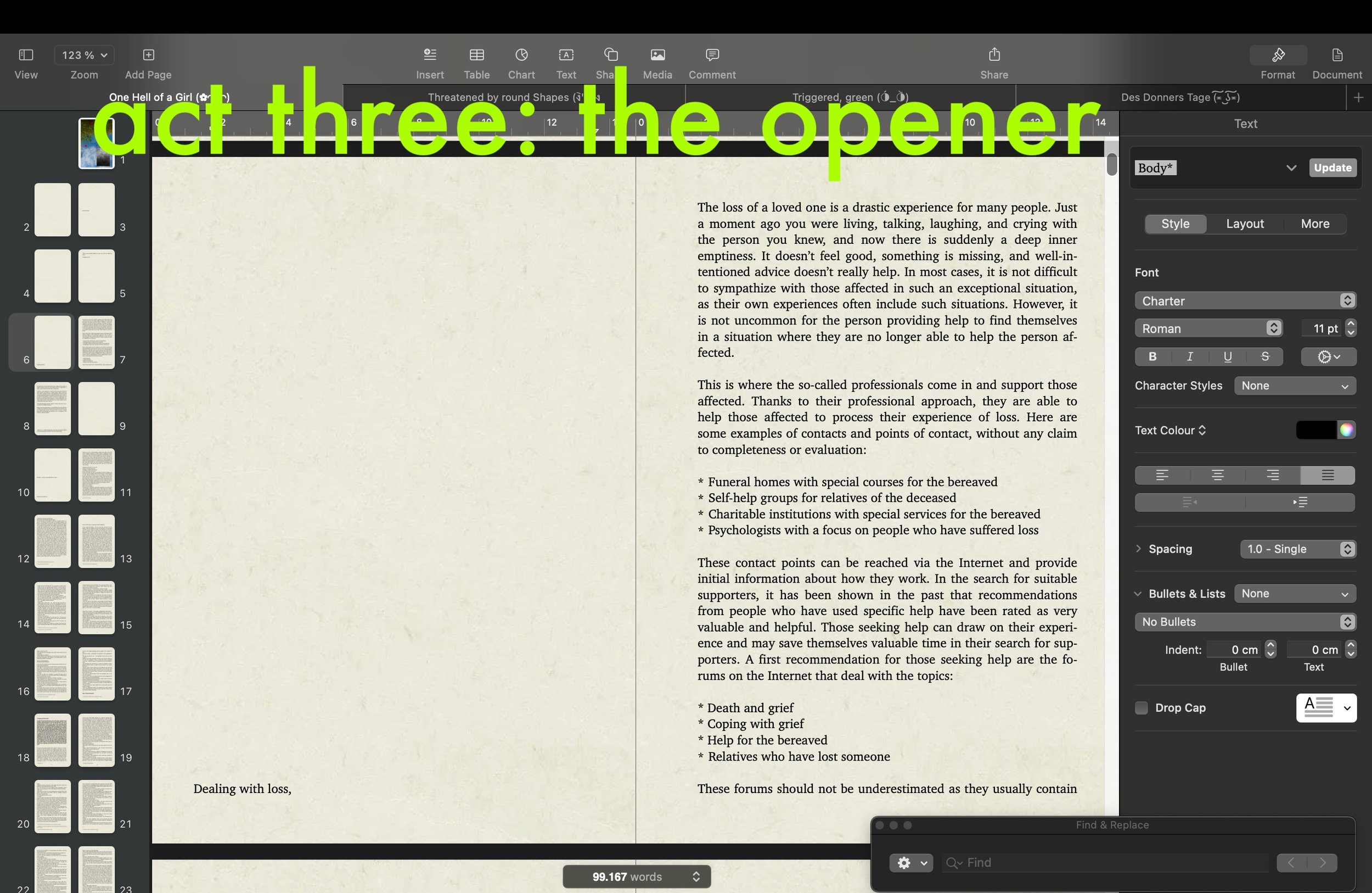 Act Three: Opener of the debut novel "One Hell of a Girl."
