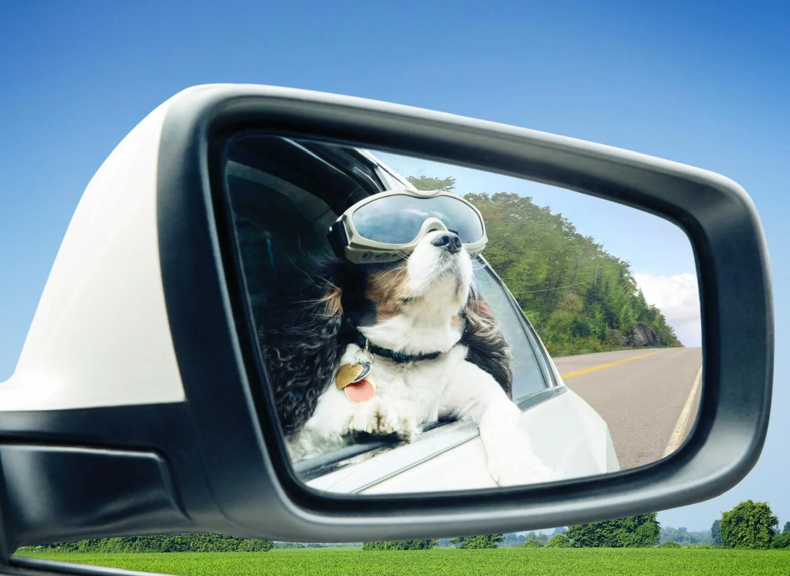 WhatsApp Image 2025-06-17 at 5.46.08 PM.jpeg