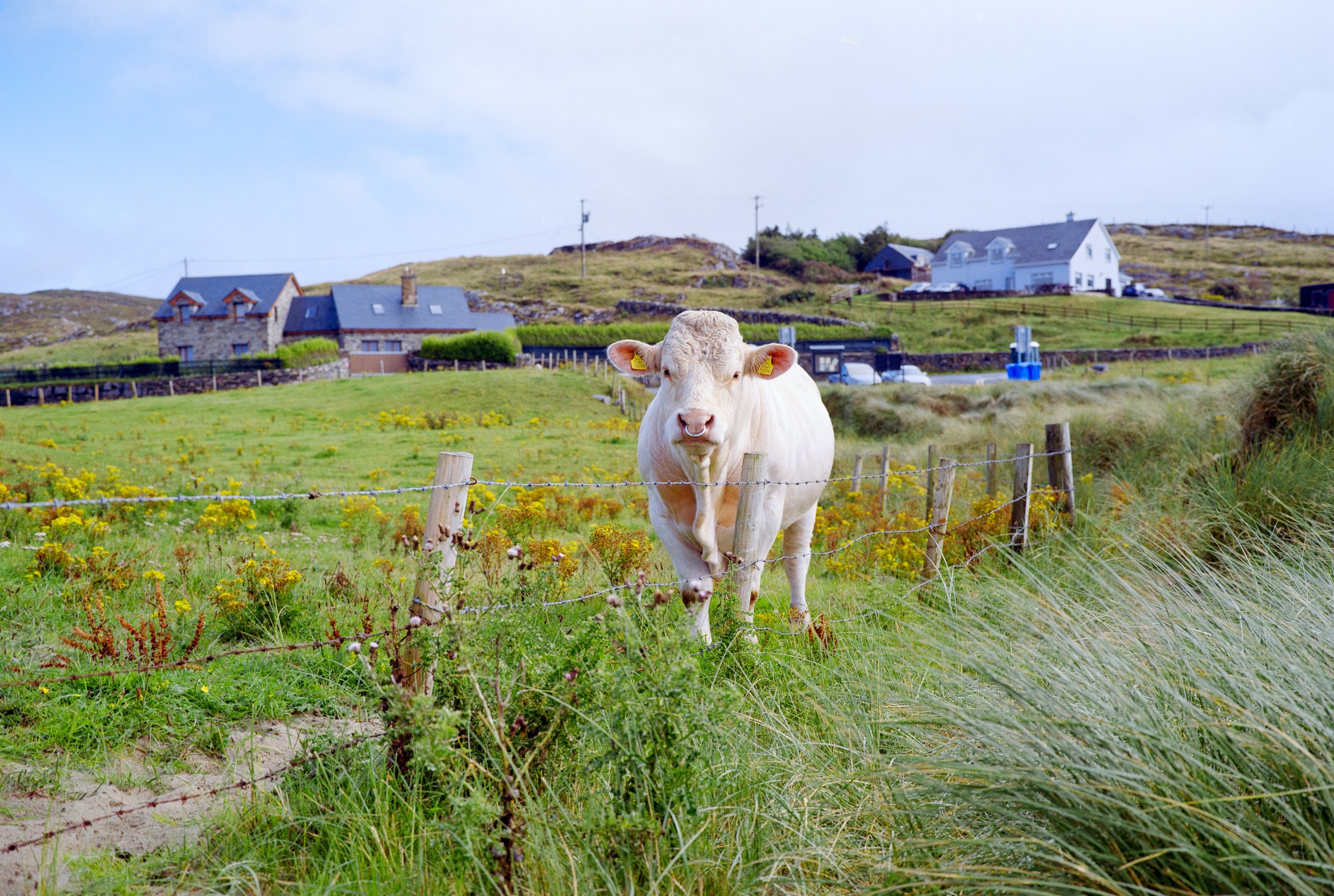 rinvyle / galway county