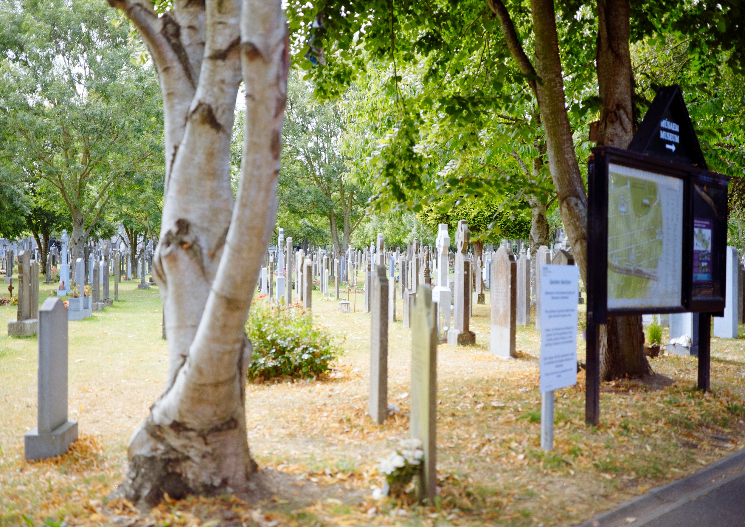 glasnevin / dublin county