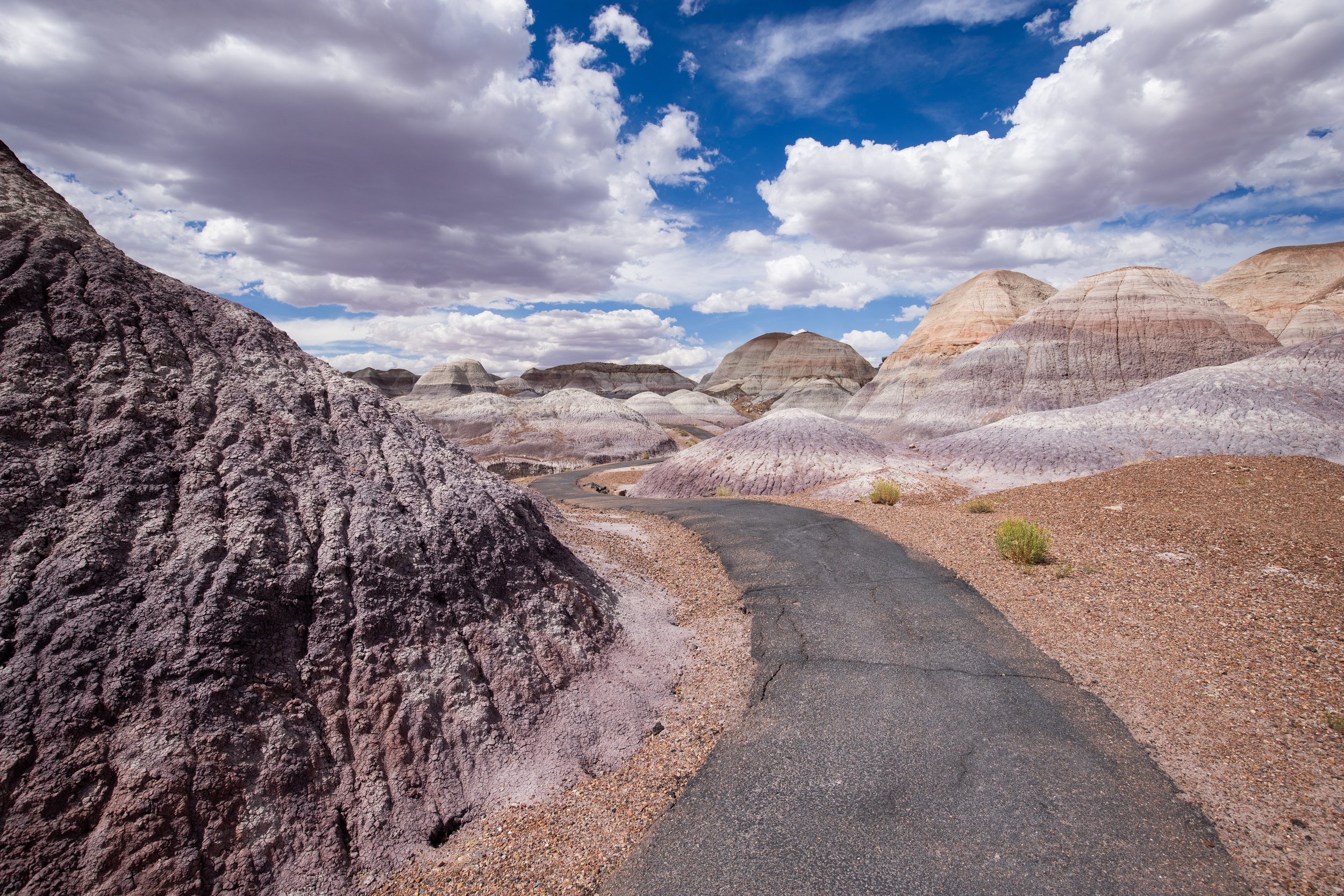 Petrified NP / Arizona