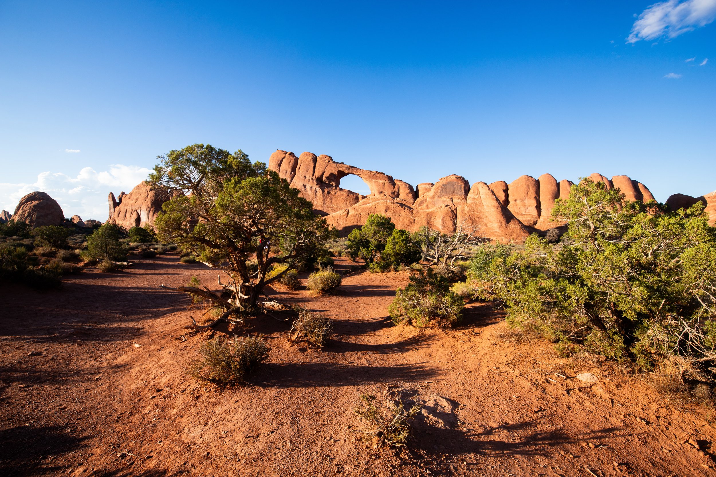 Arches NP / Utah
