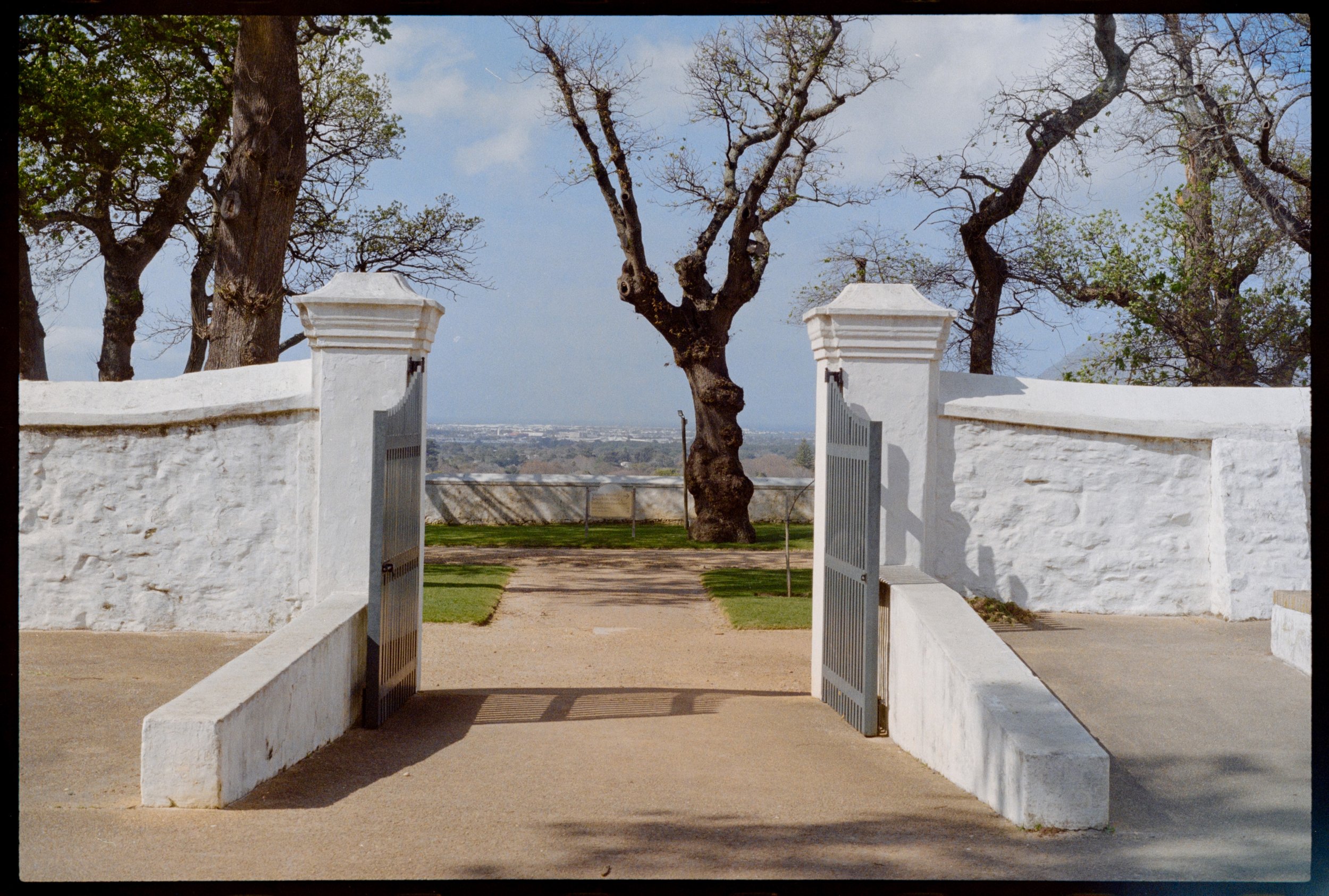 CAPE TOWN // Groot Constantia-Trust Winery // Minolta XGM // Fuji C200