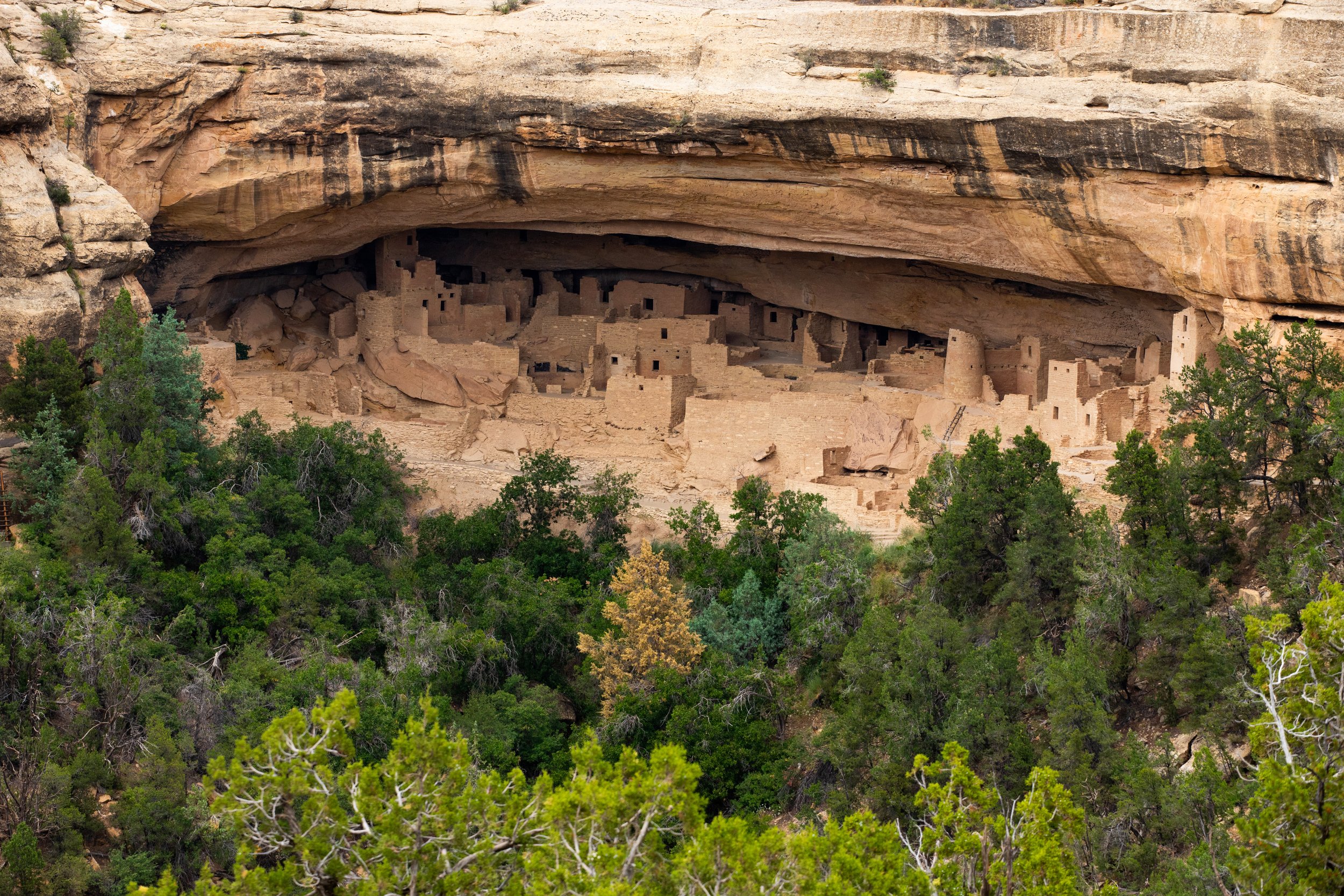 Mesa Verde / Colorado
