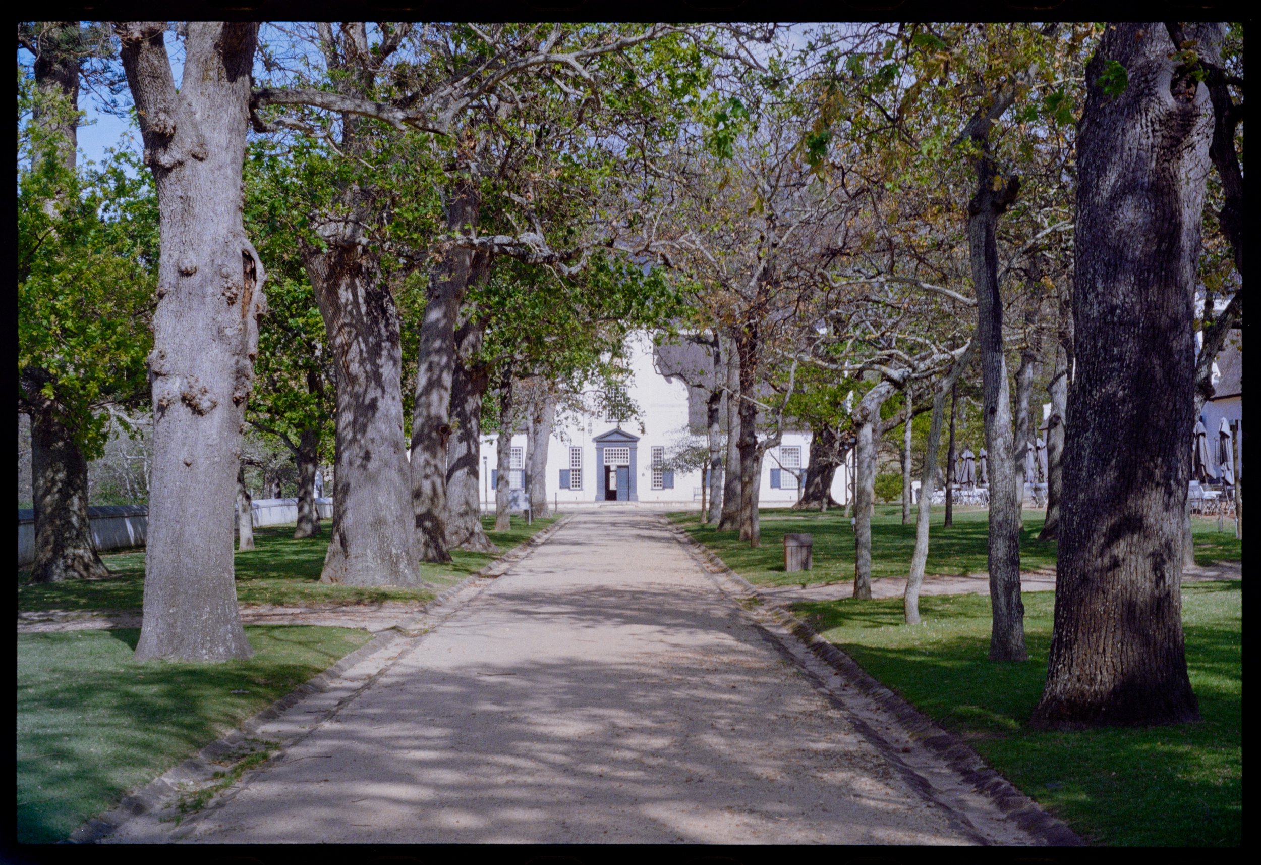 CAPE TOWN // Groot Constantia-Trust Winery // Minolta XGM // Fuji C200