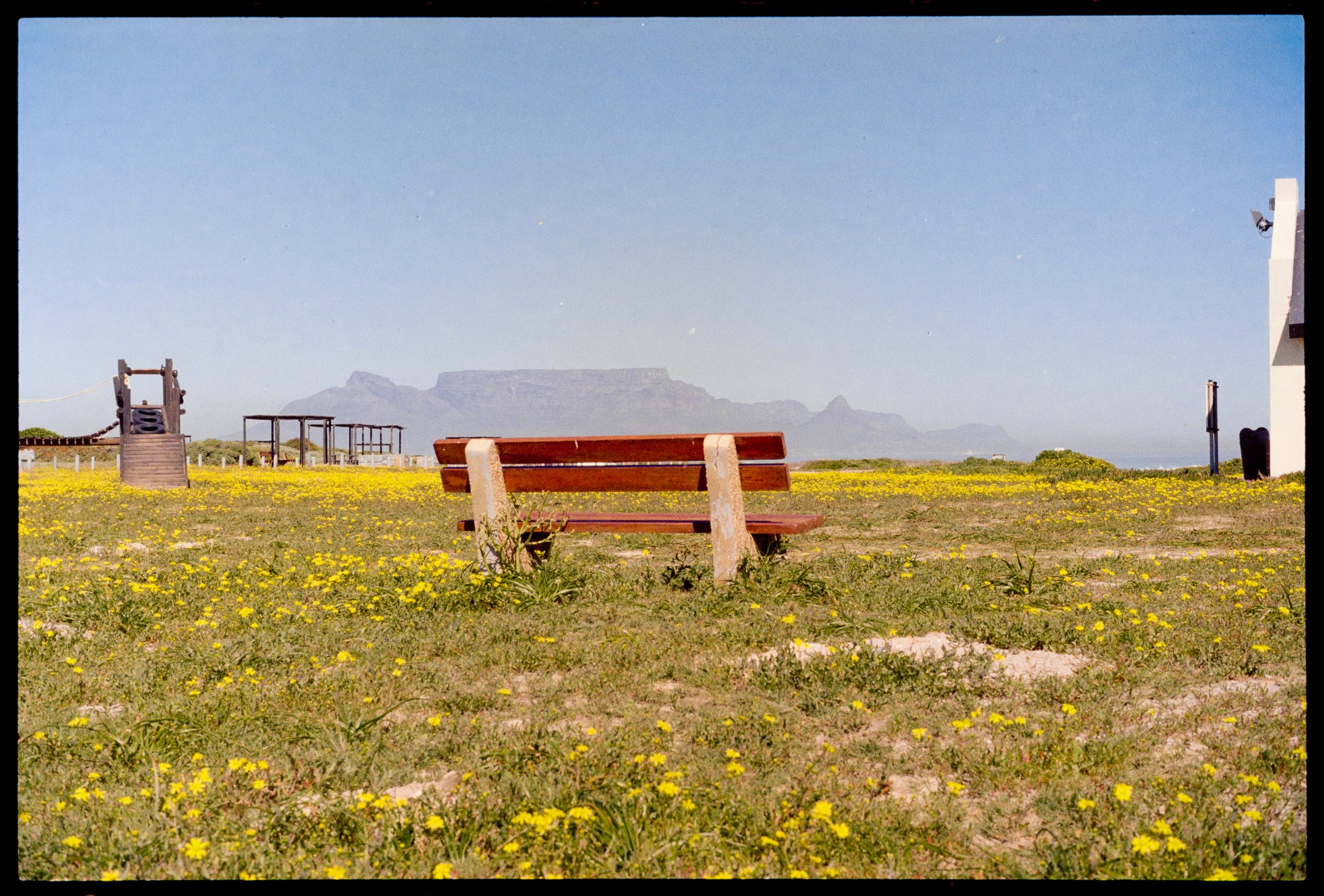 TABLE VIEW // Minolta XGM // Fuji C200