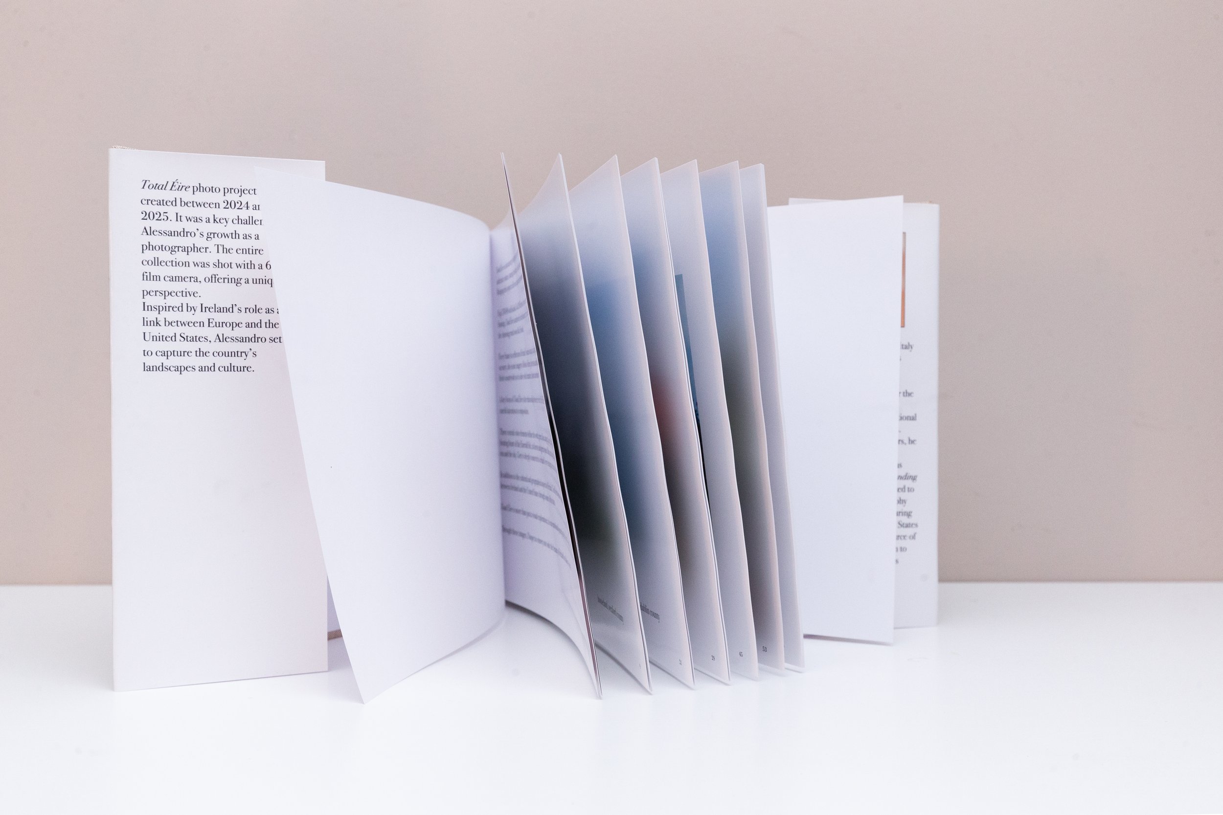 BOOK-3.jpg