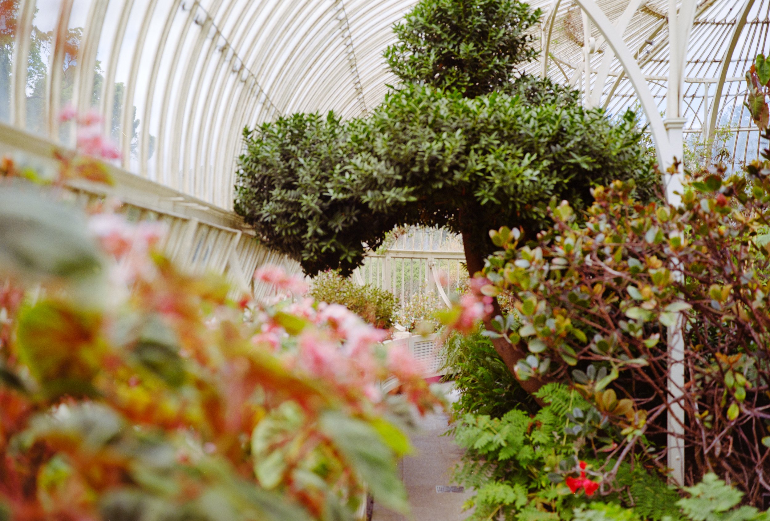 national botanic garden / dublin 9