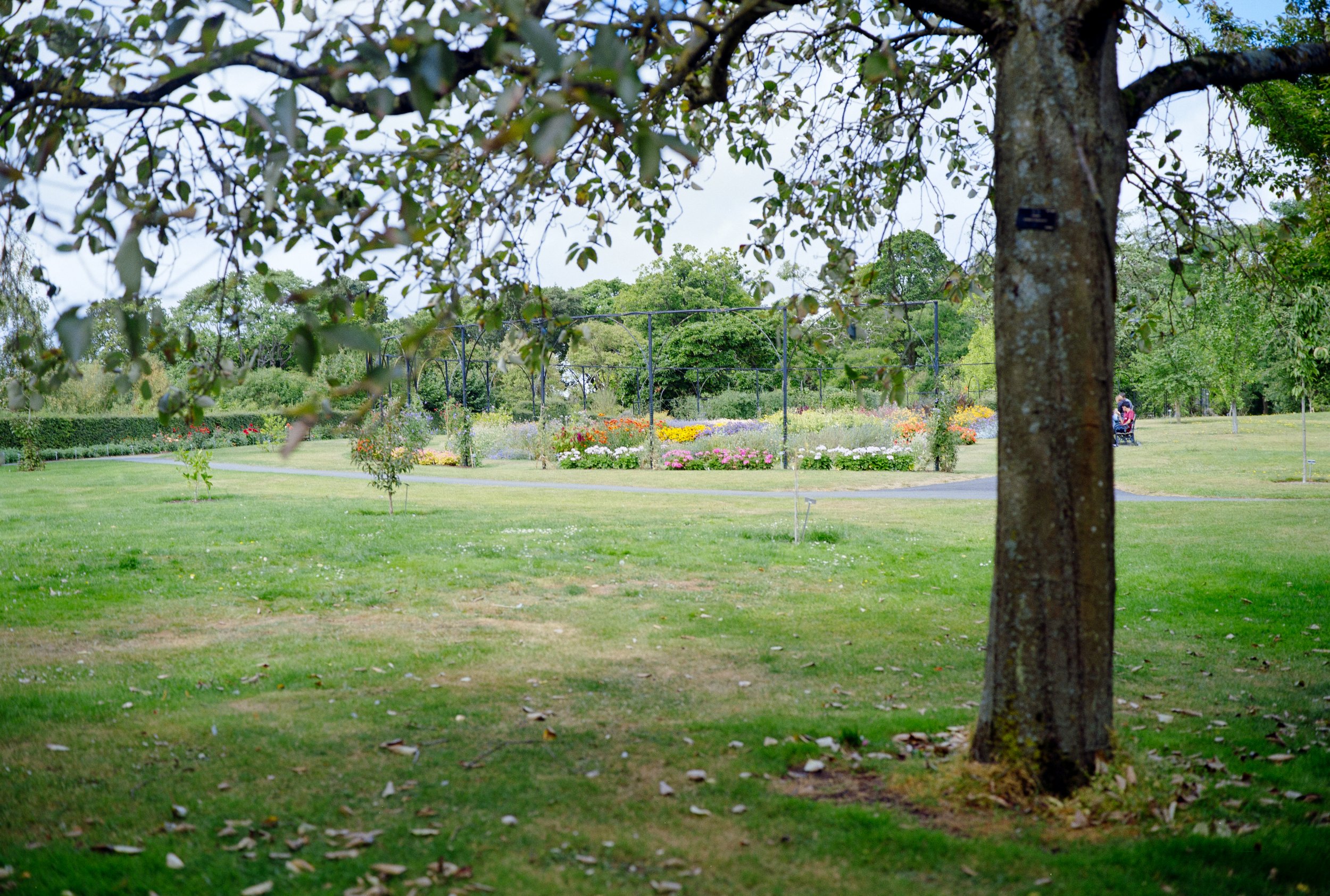 national botanic garden / dublin 9