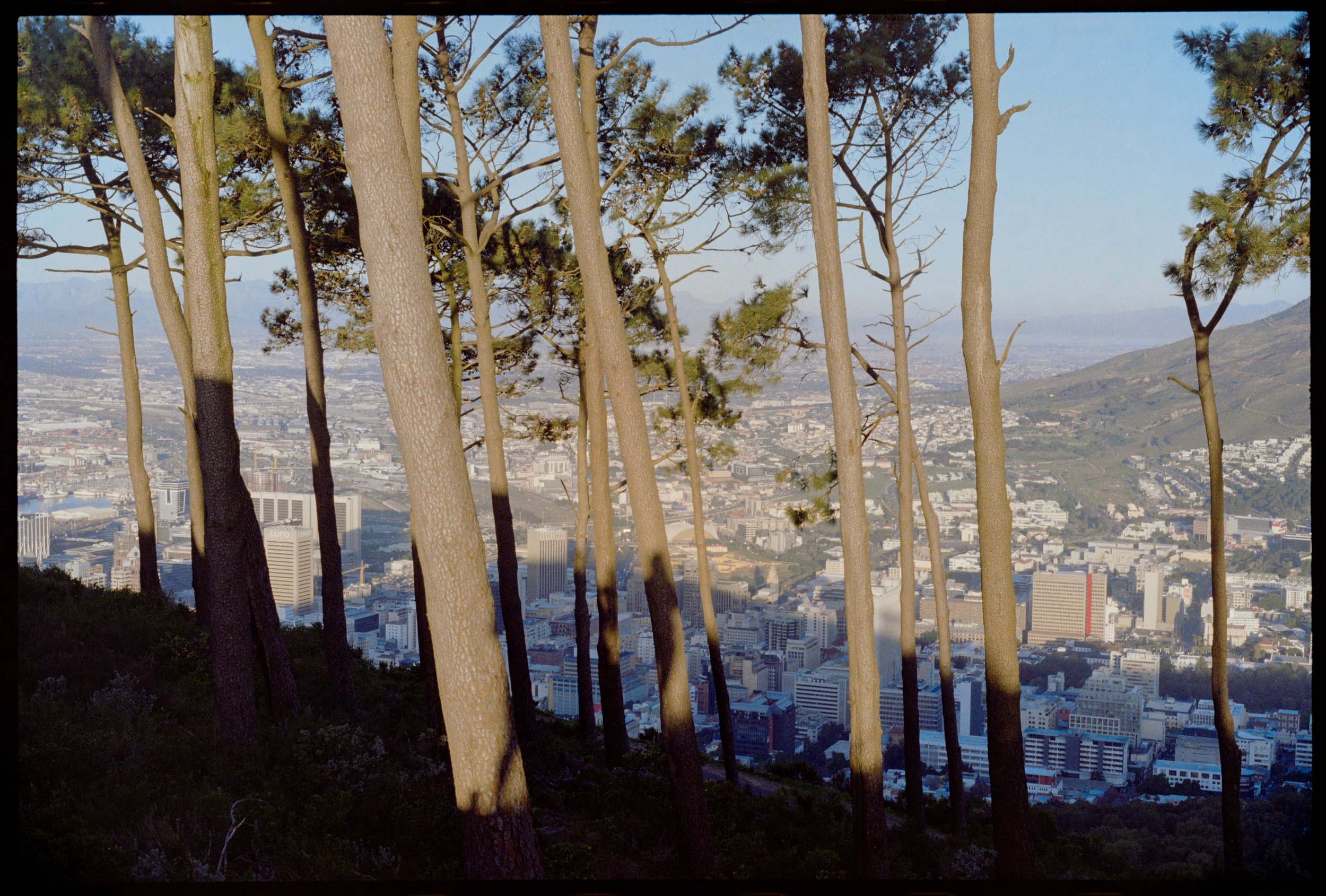 CAPE TOWN // Signal Hill // Minolta XGM // Fuji C200