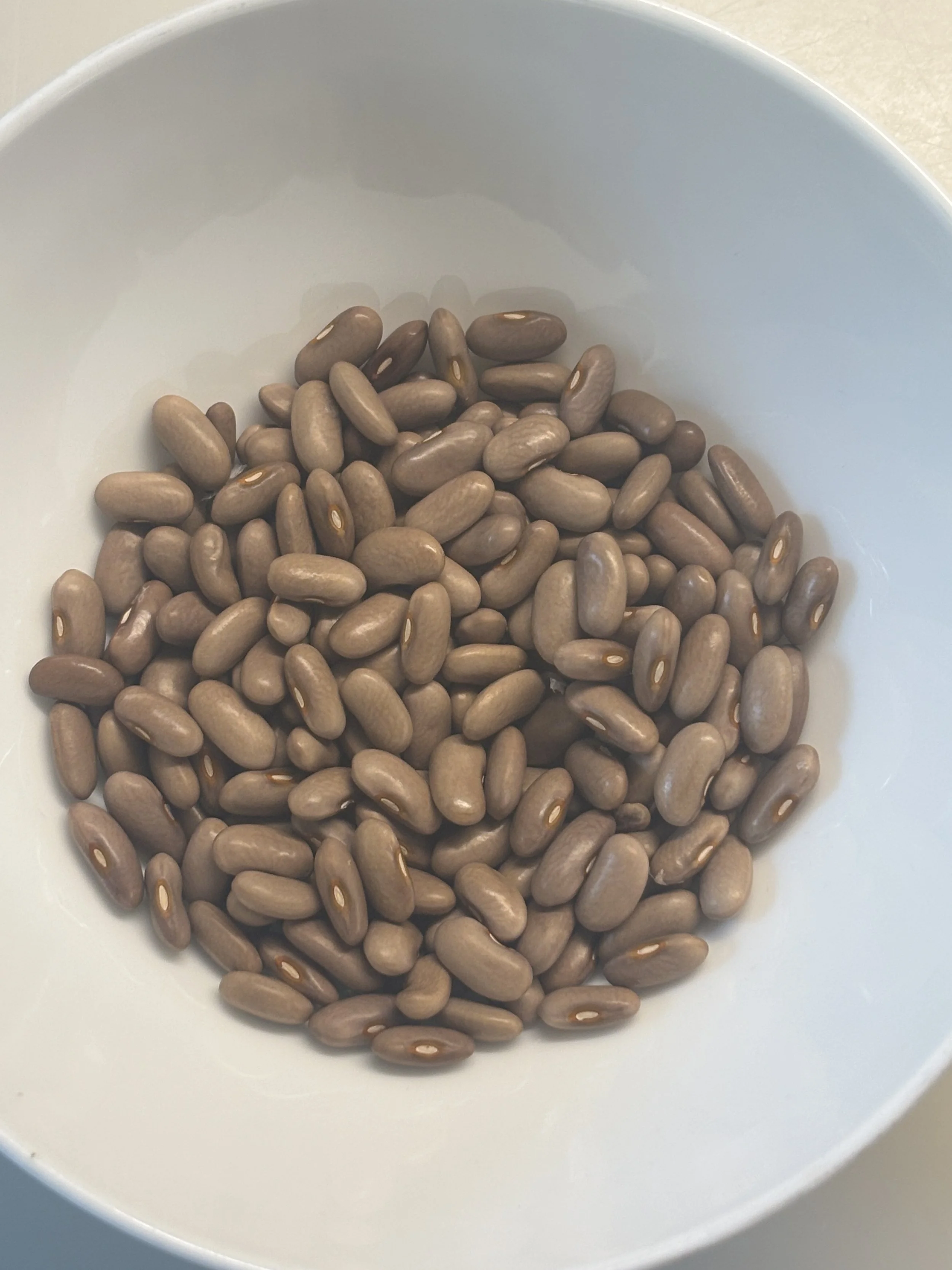 Old Homestead - Climbing Bean