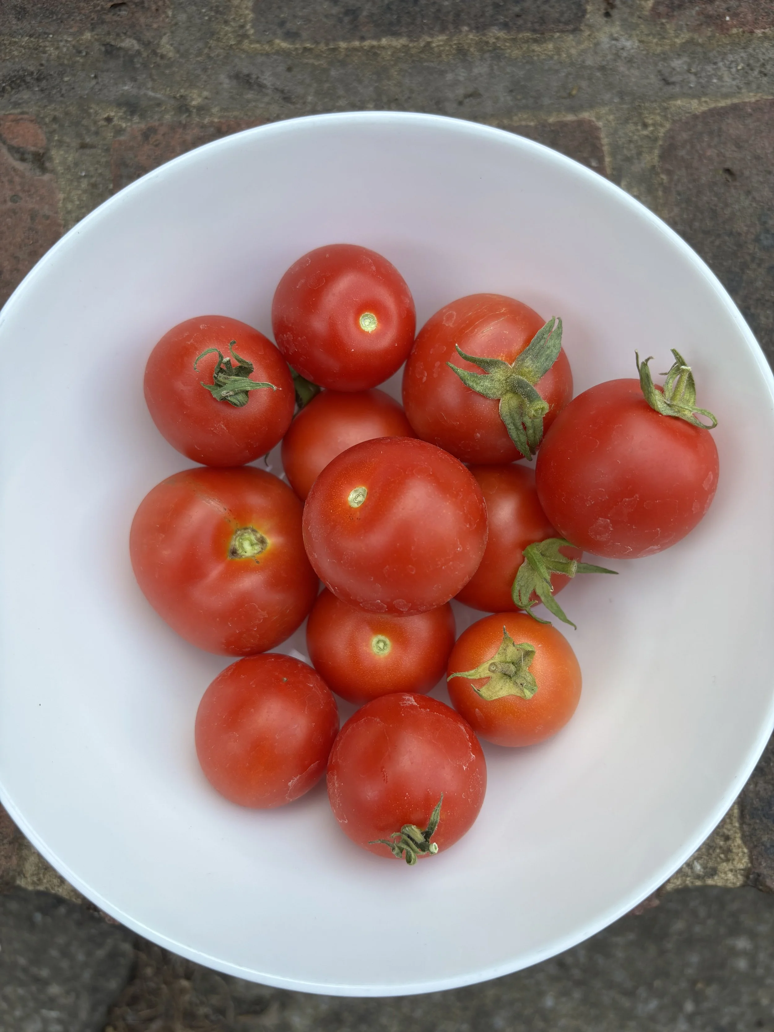 Tomato Maskotka