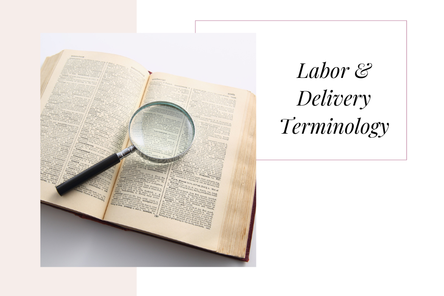 Illustration of an open spiral notebook with a pen attached to the left side by its clip.