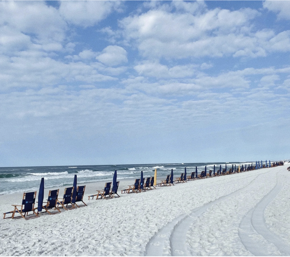 FIELD GUIDE: BLUE MOUNTAIN BEACH