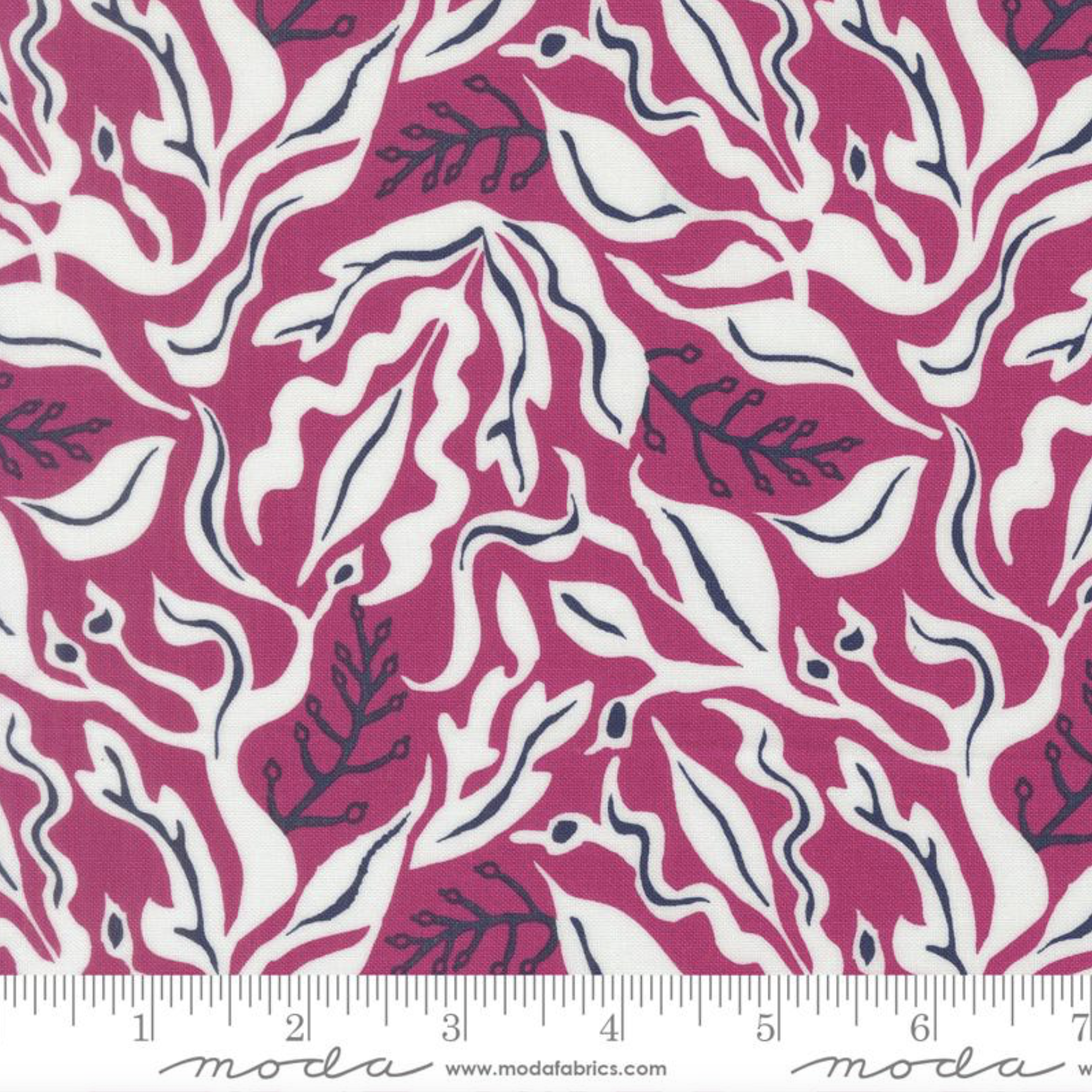 Reef: Novelty Seaweed by MODA FABRICS