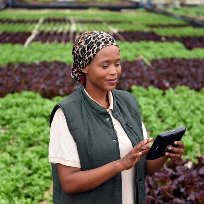 Climate Changed the Rules, So I Changed My Farming