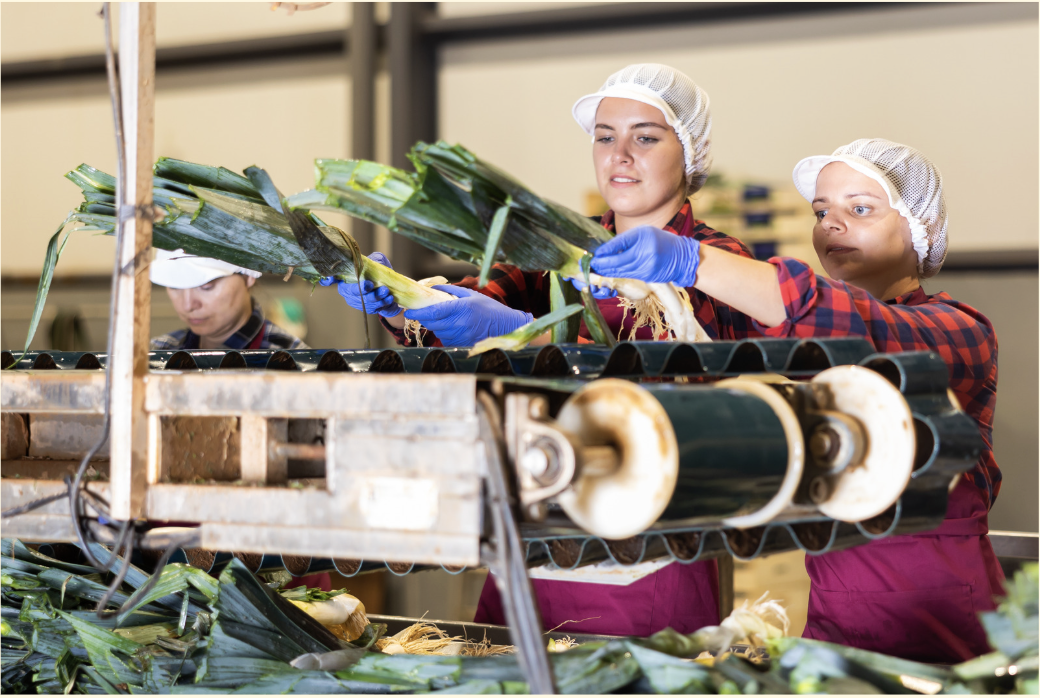 How We Can Build a Pathway Between Climate Change and Social Justice to Reducing Vulnerability