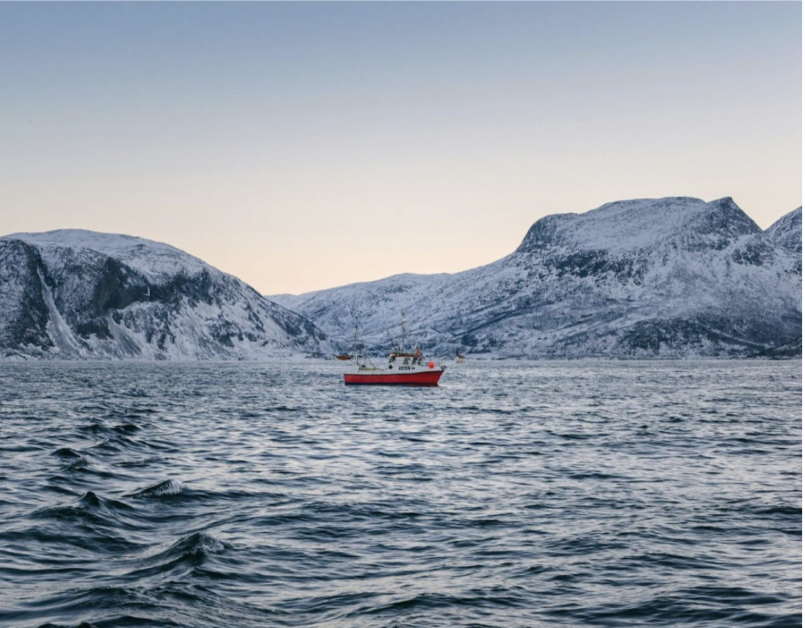 Screenshot 2026-01-22 at 9.29.17 AM.png