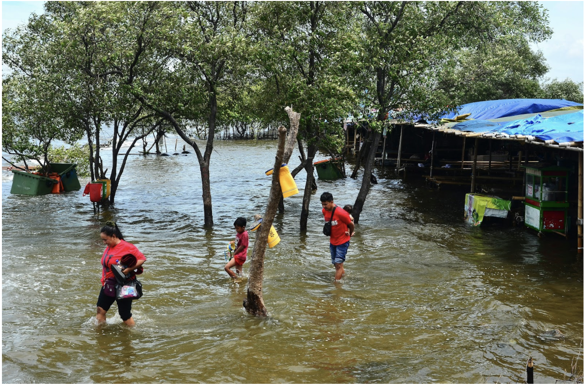 Screenshot 2026-01-22 at 9.32.40 AM.png