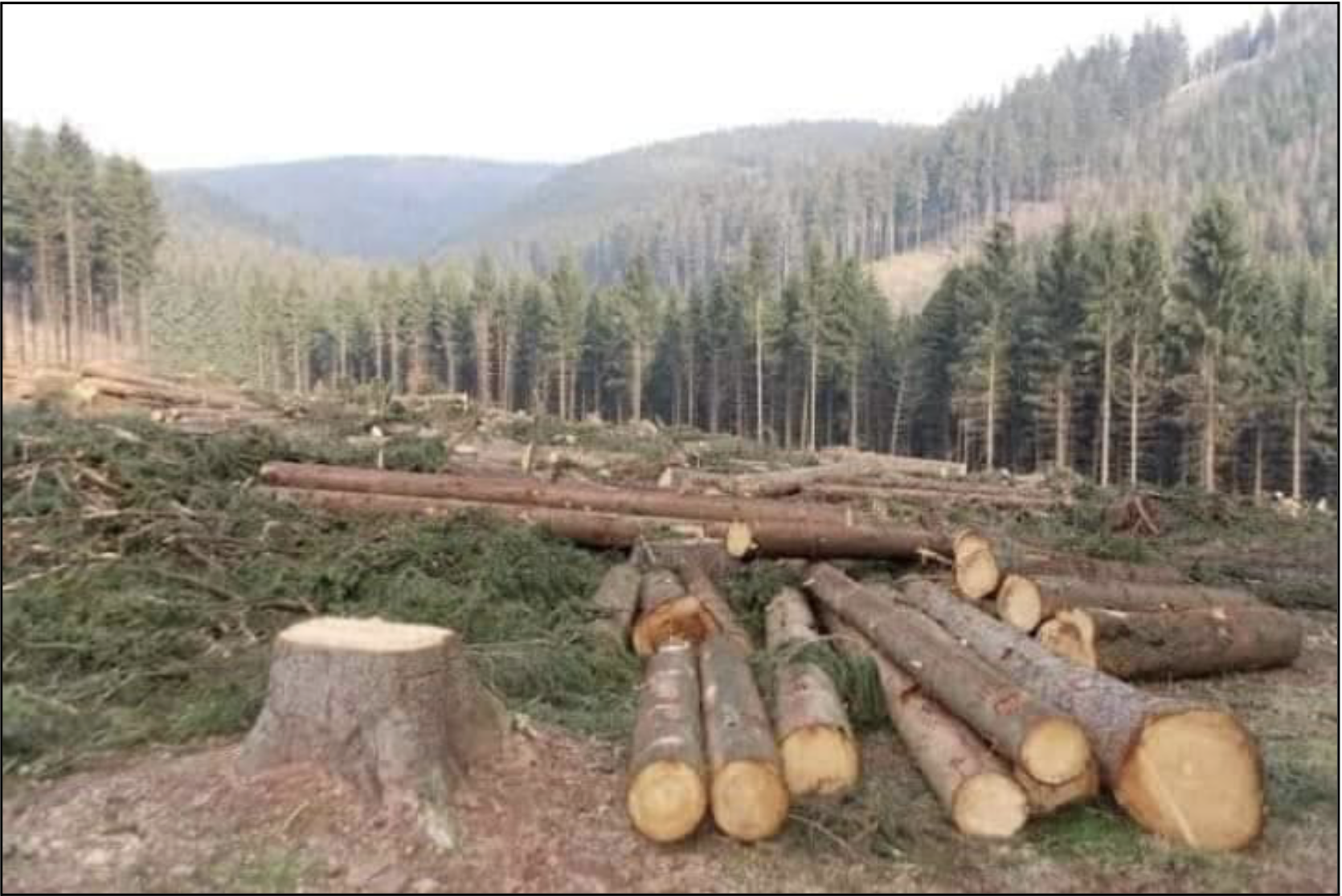 Image that shows a hillside that has been deforested in the Swat River Basin