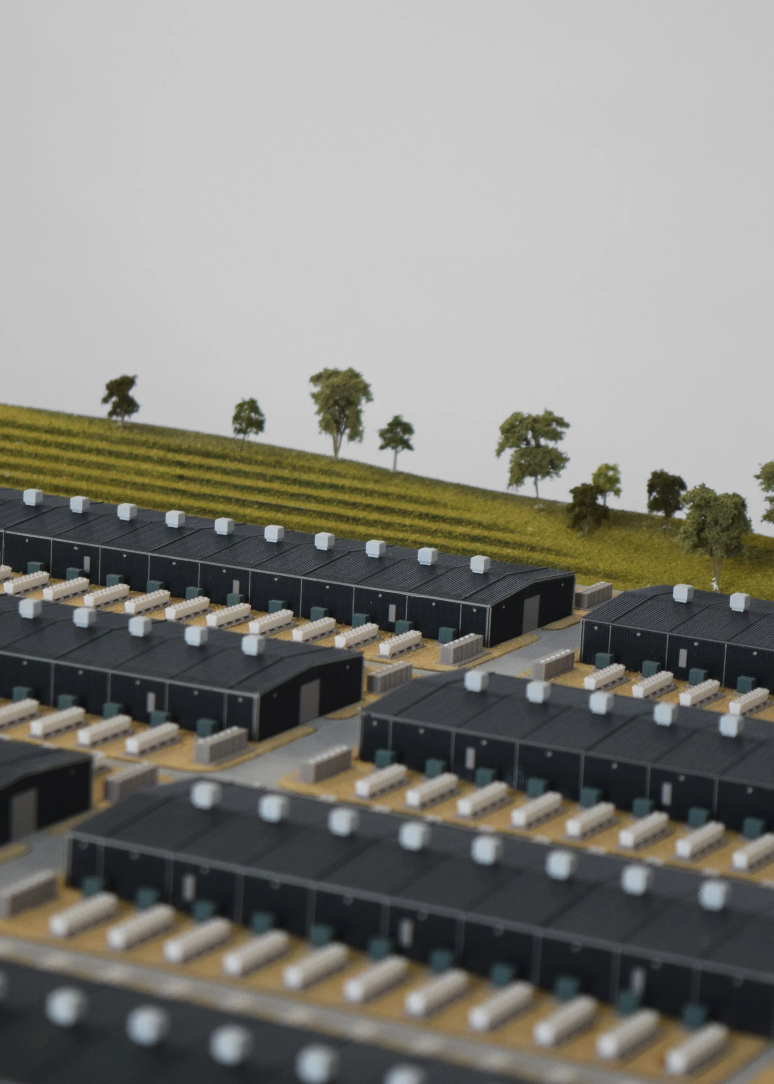 AAB0026_CLOSE UP 5.jpg