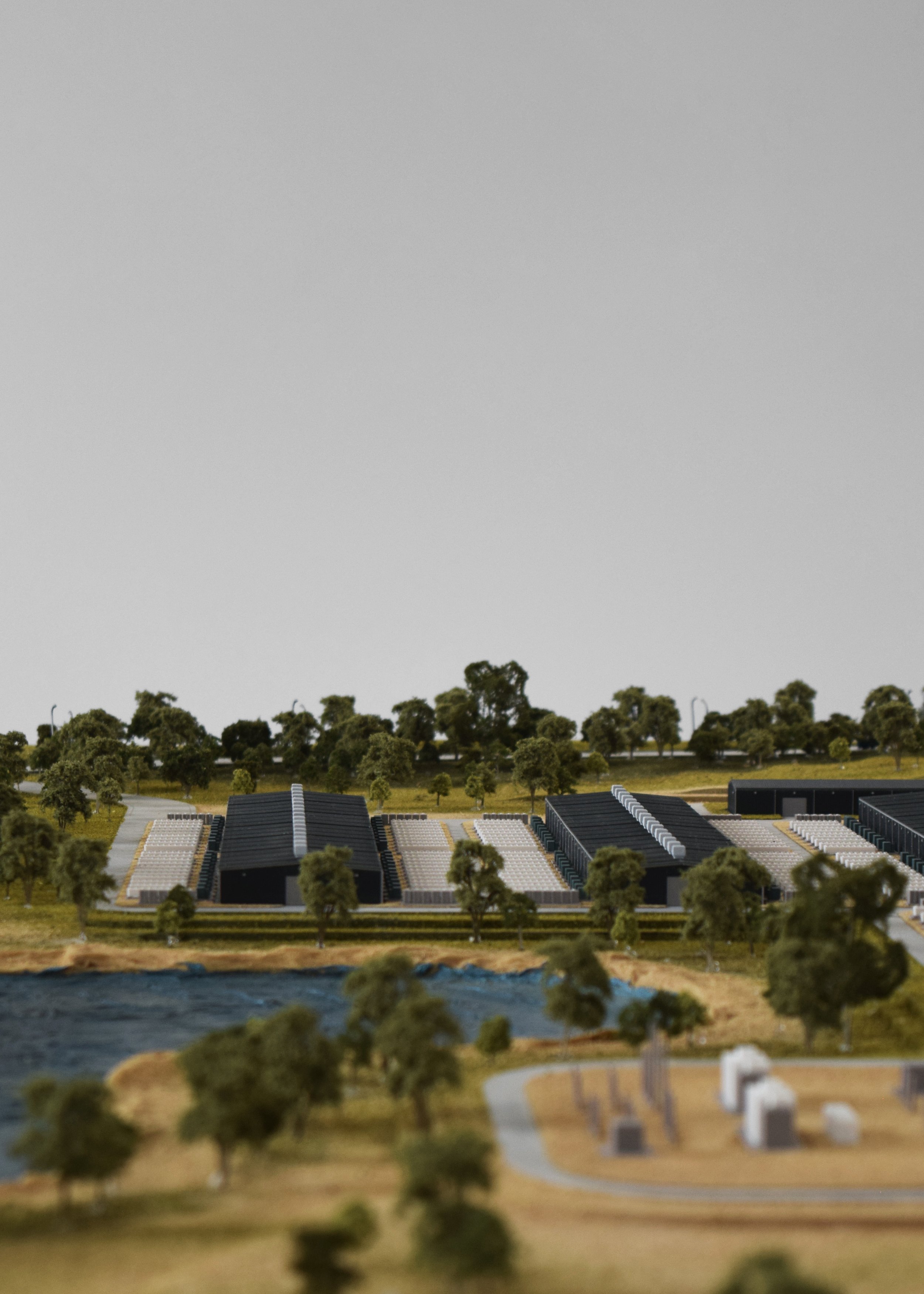 AAB0026_CLOSE UP 2.jpg