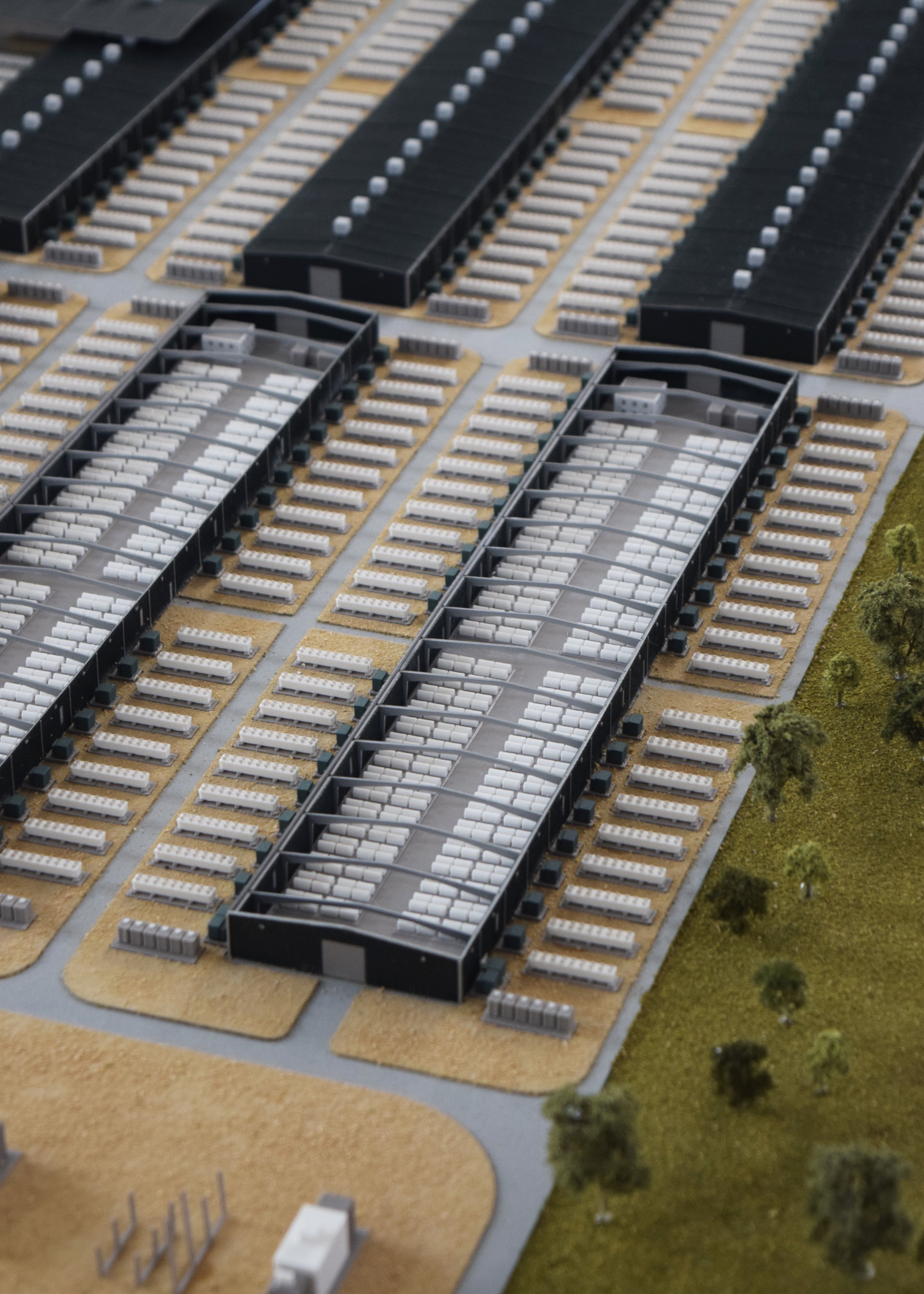 AAB0026_CLOSE UP 3.jpg