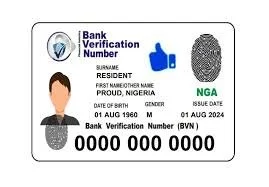 Bank Verification Number (BVN)