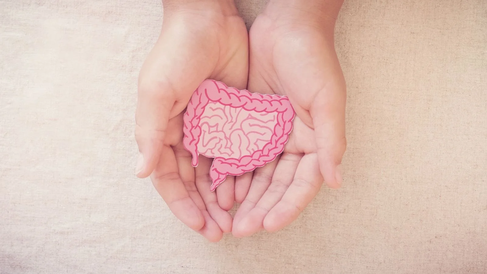 What’s All the Hype About Gut Health?