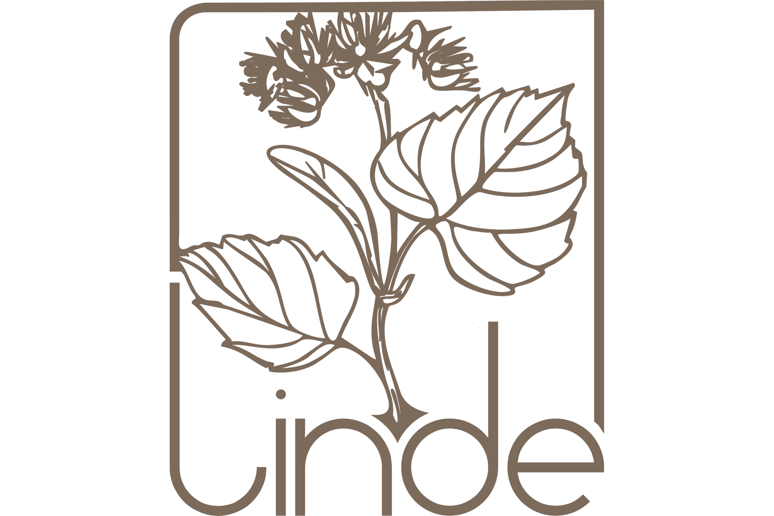 Bistro zur Linde, Oftringen