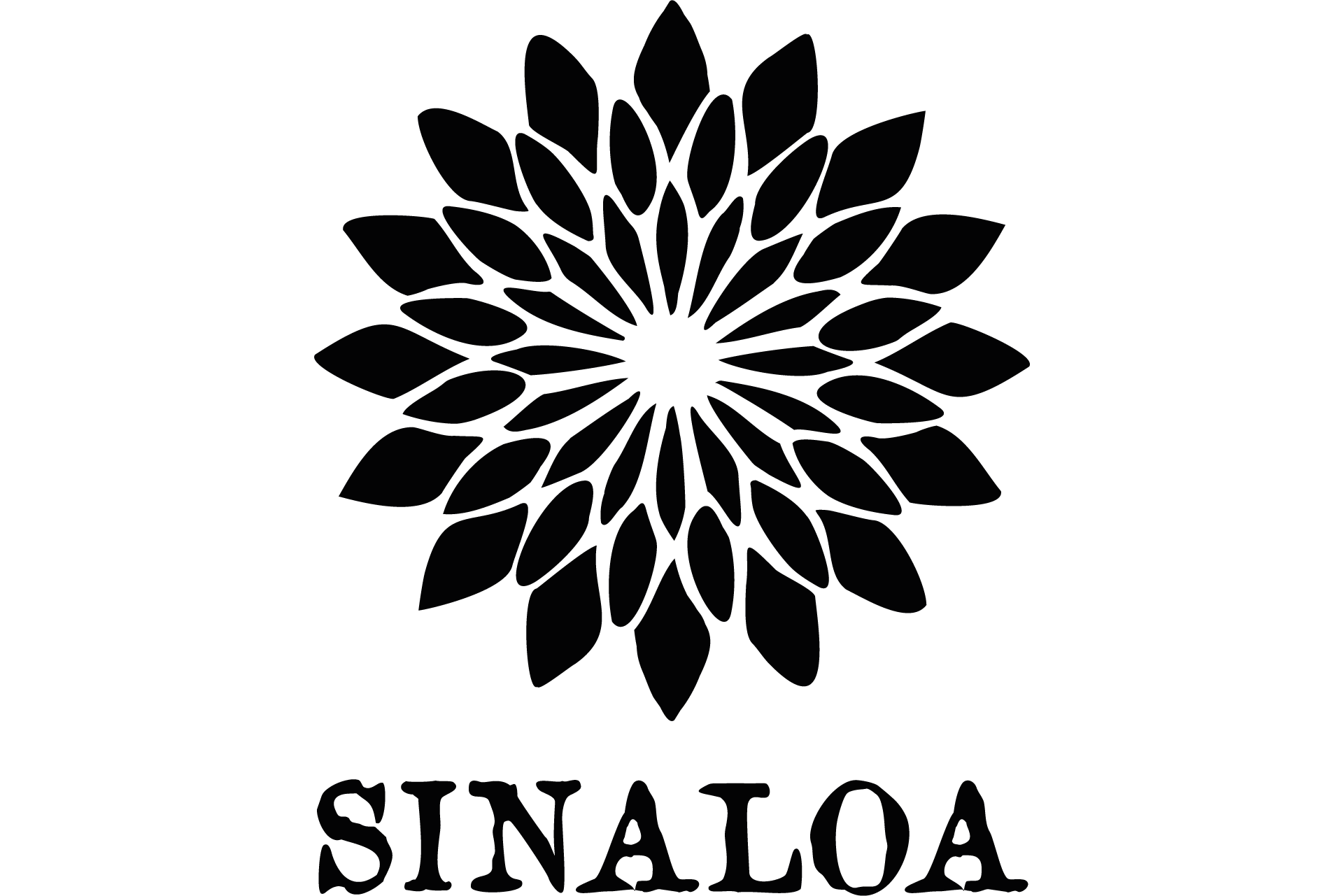 Sinaloa, Zürich
