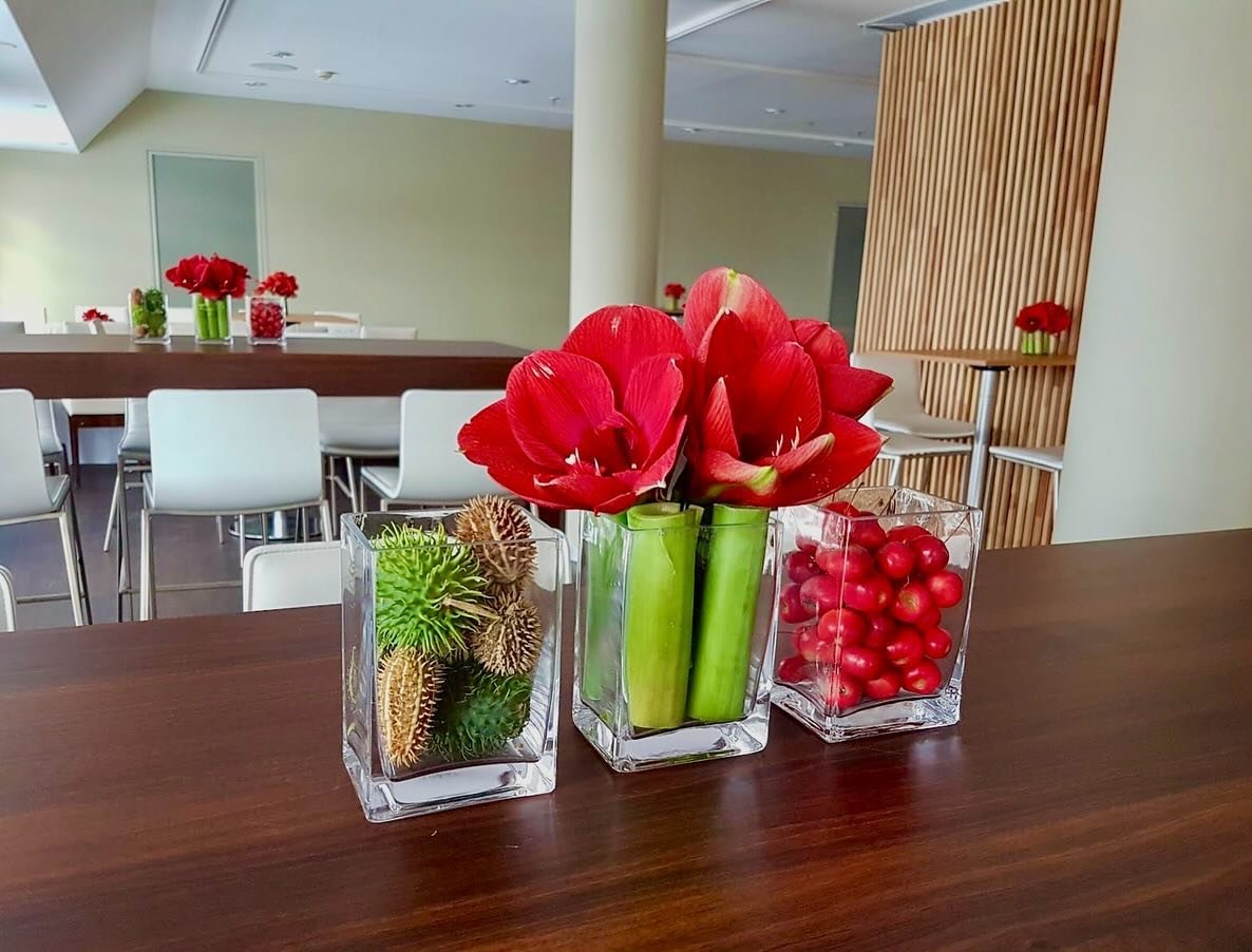 &hearts;️ #petruseventfloristik #berlin #christmastime #amaryllis #stehtischdekoration