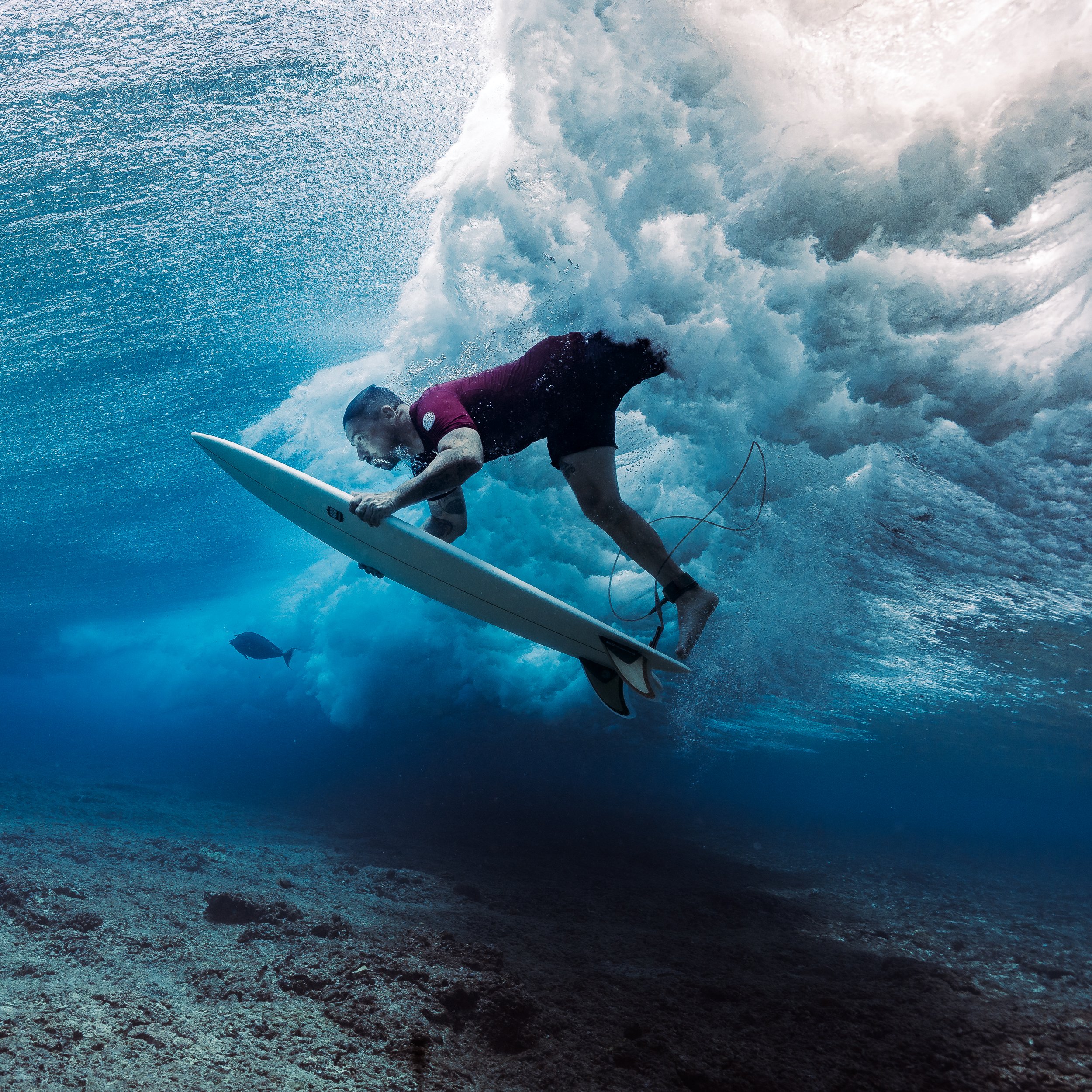 A man surfing on a wave underwater with a fish in the background.